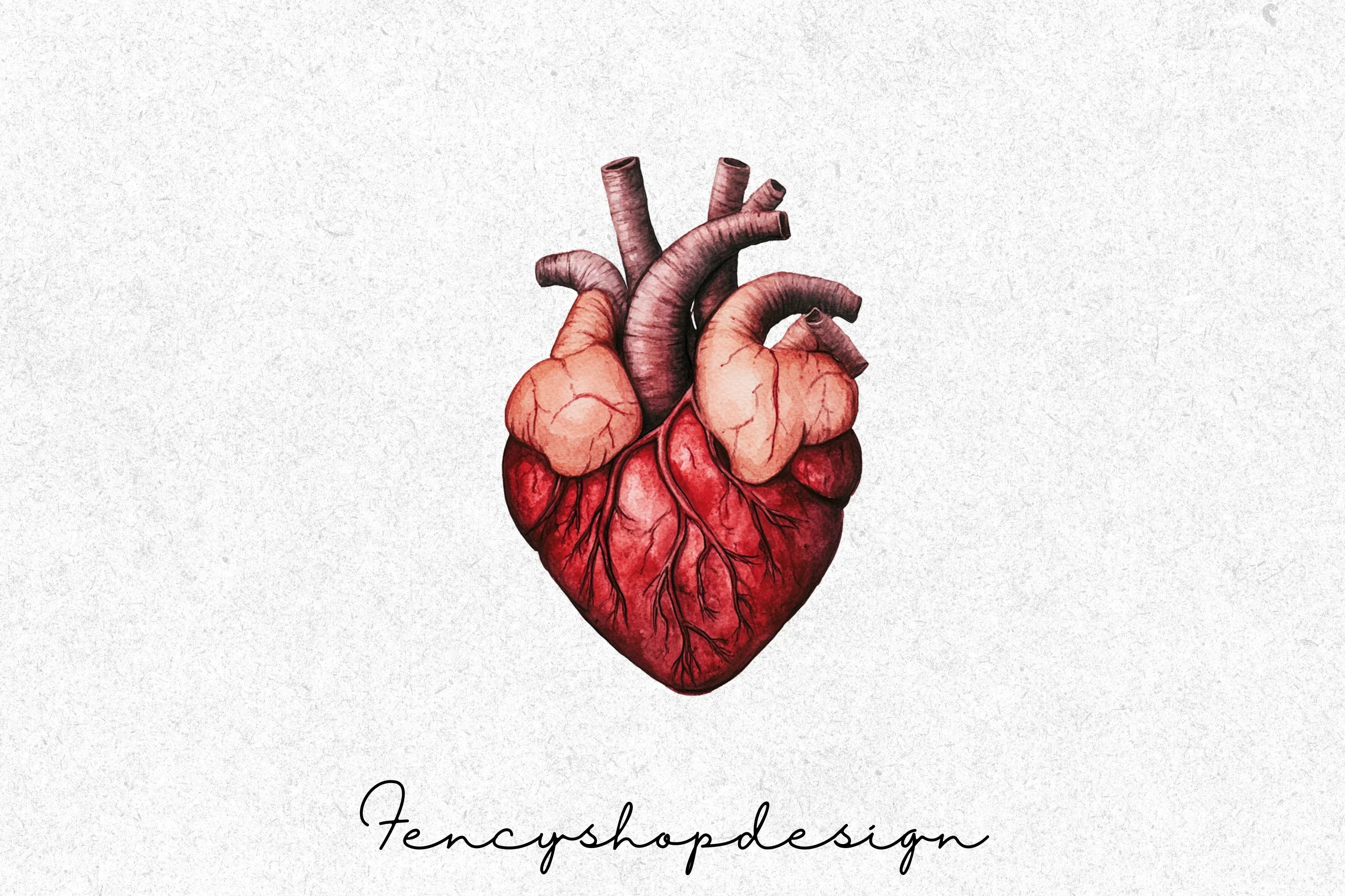 Realistic Anatomical Human Hearts Clipart Bundle - Image 7