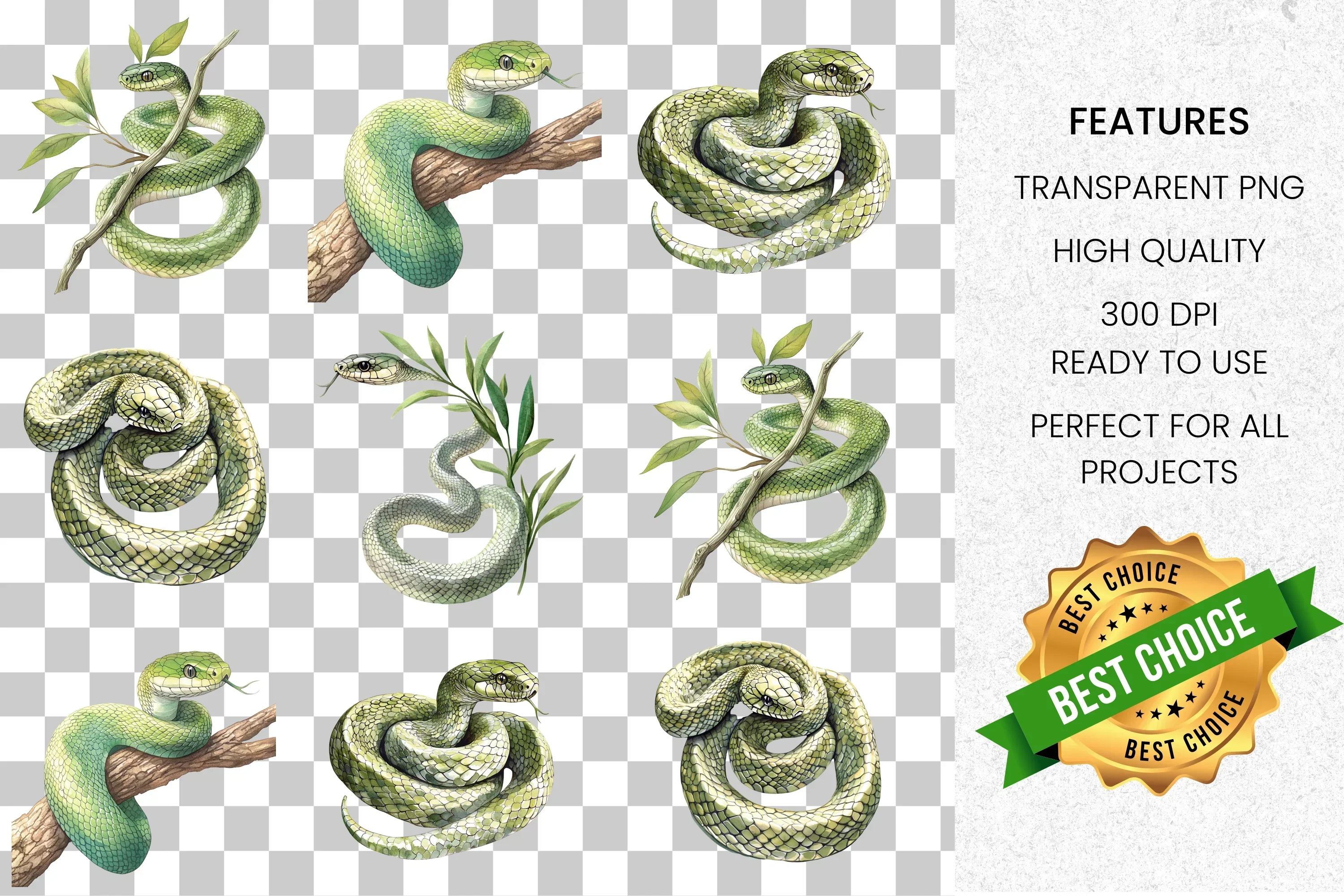 Realistic Green Snake Clipart Bundle - Image 2