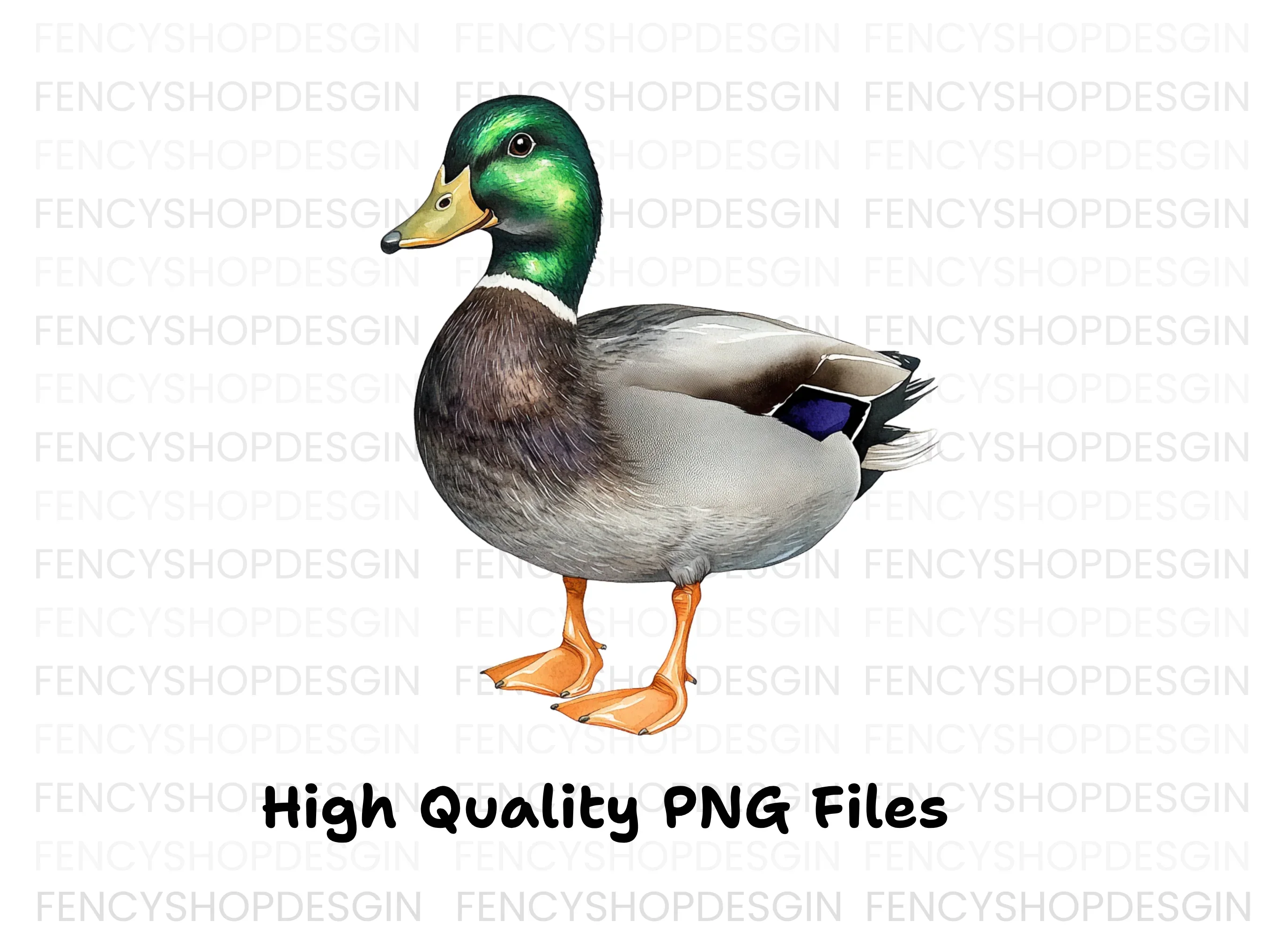 Realistic Mallard Duck Clipart Bundle - Image 2