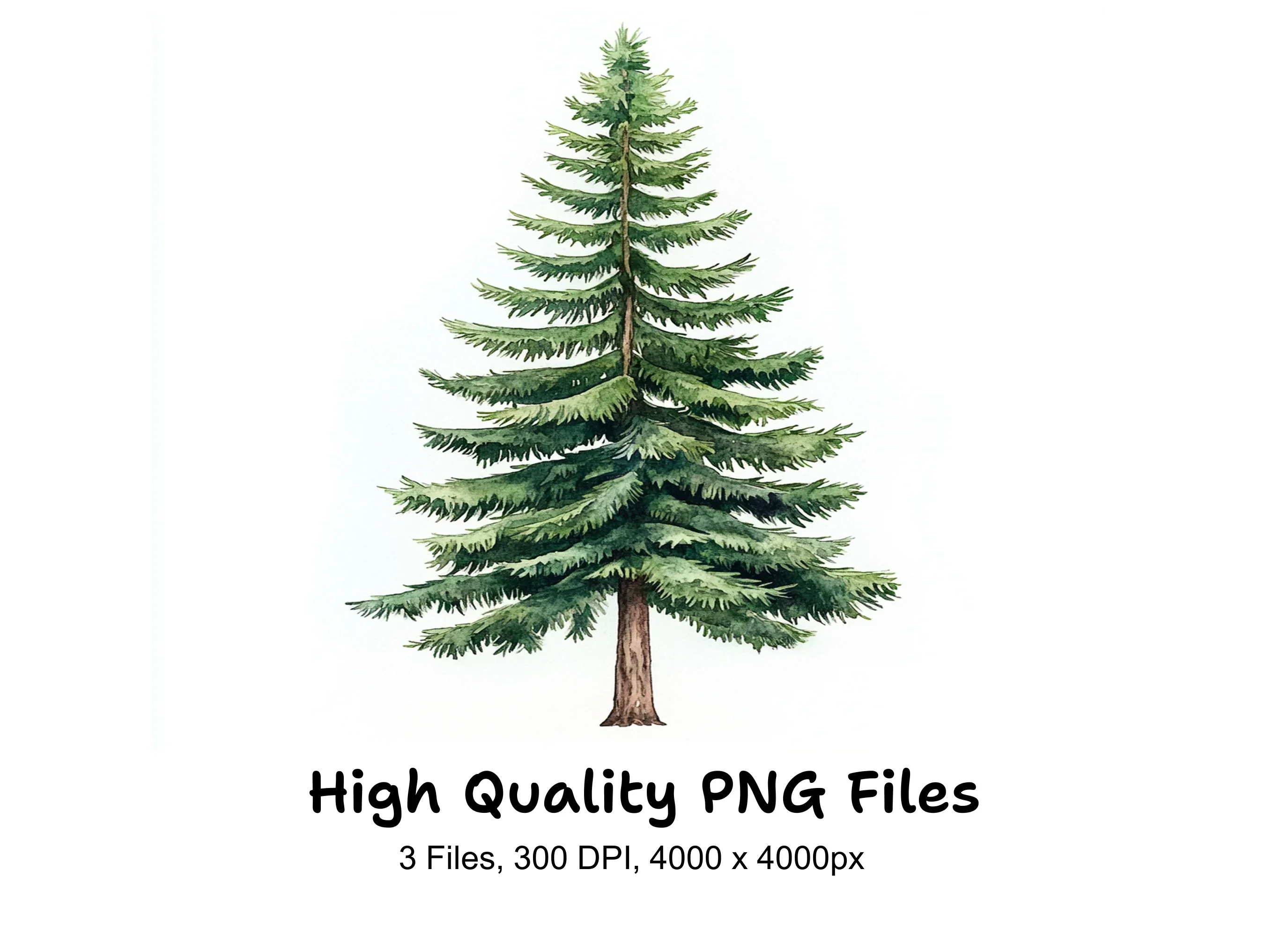 Realistic Pine Tree Clipart Bundle
