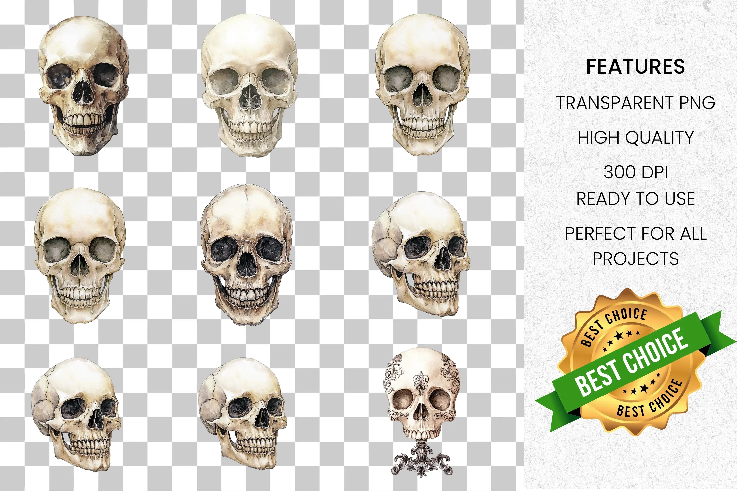 Realistic Skull Clipart Bundle - Image 8