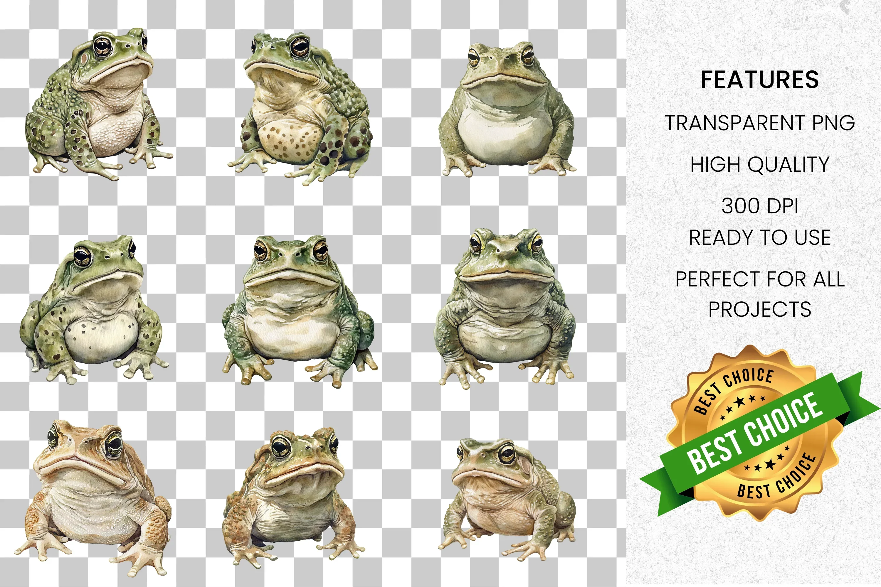 Realistic Toad Clipart Bundle - Image 2