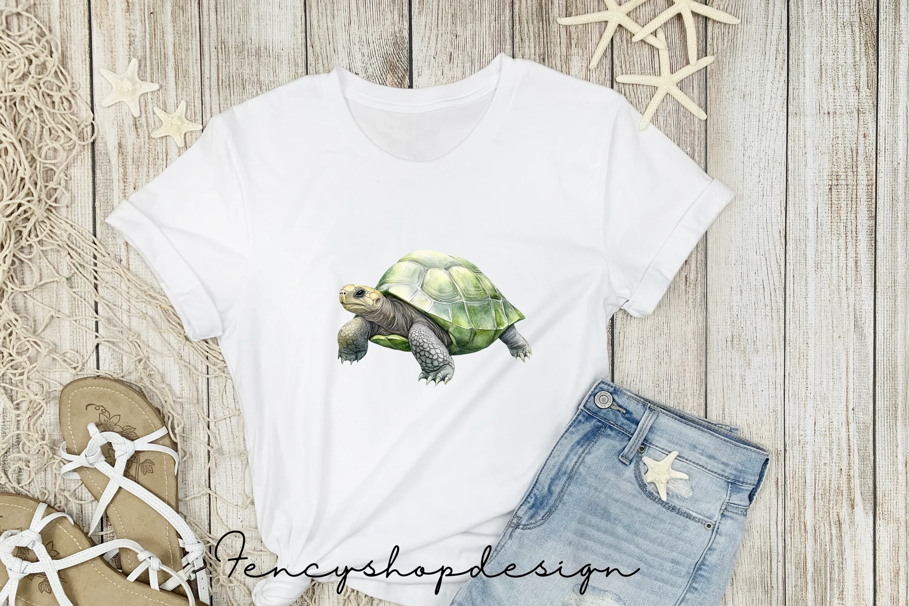 Realistic Turtle Tortoise Clipart Bundle - Image 5