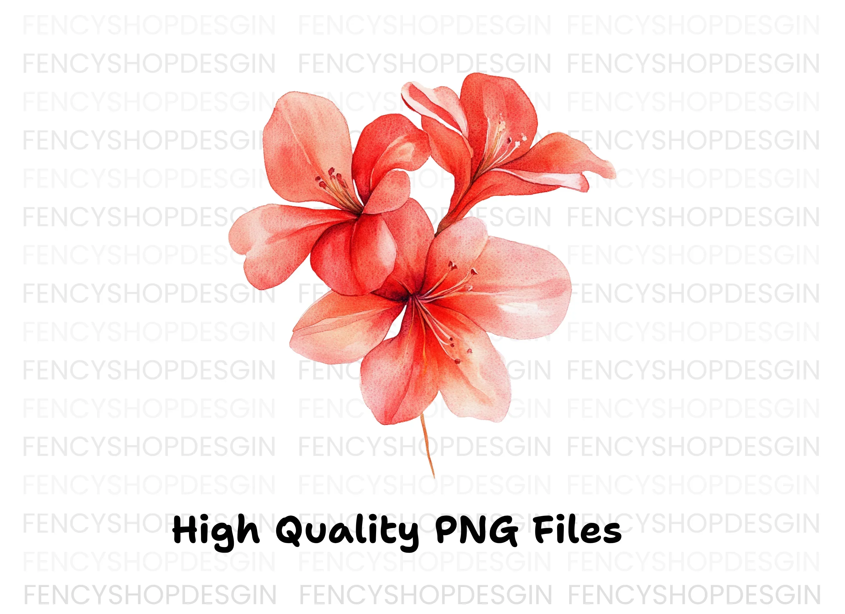 Red Geranium Flowers Clipart Bundle - Image 2