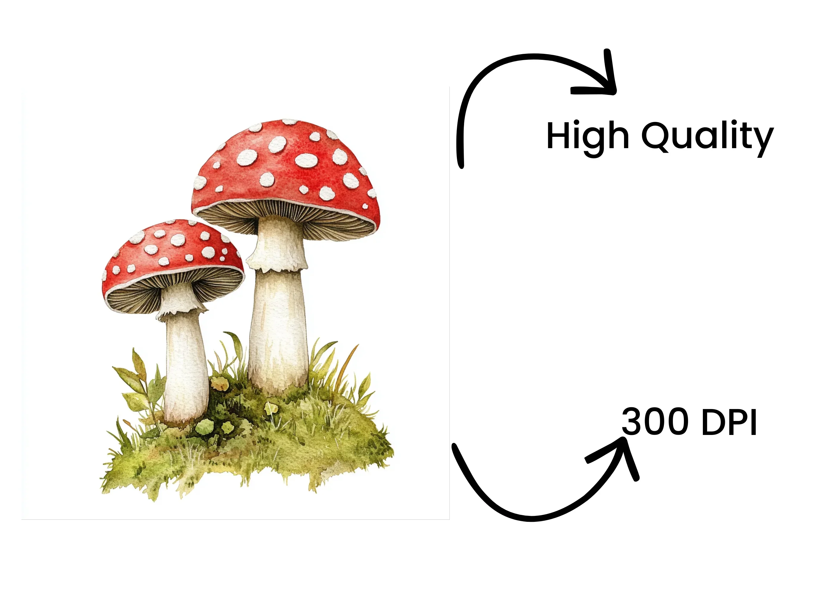 Red Mushroom Clipart Bundle - Image 4