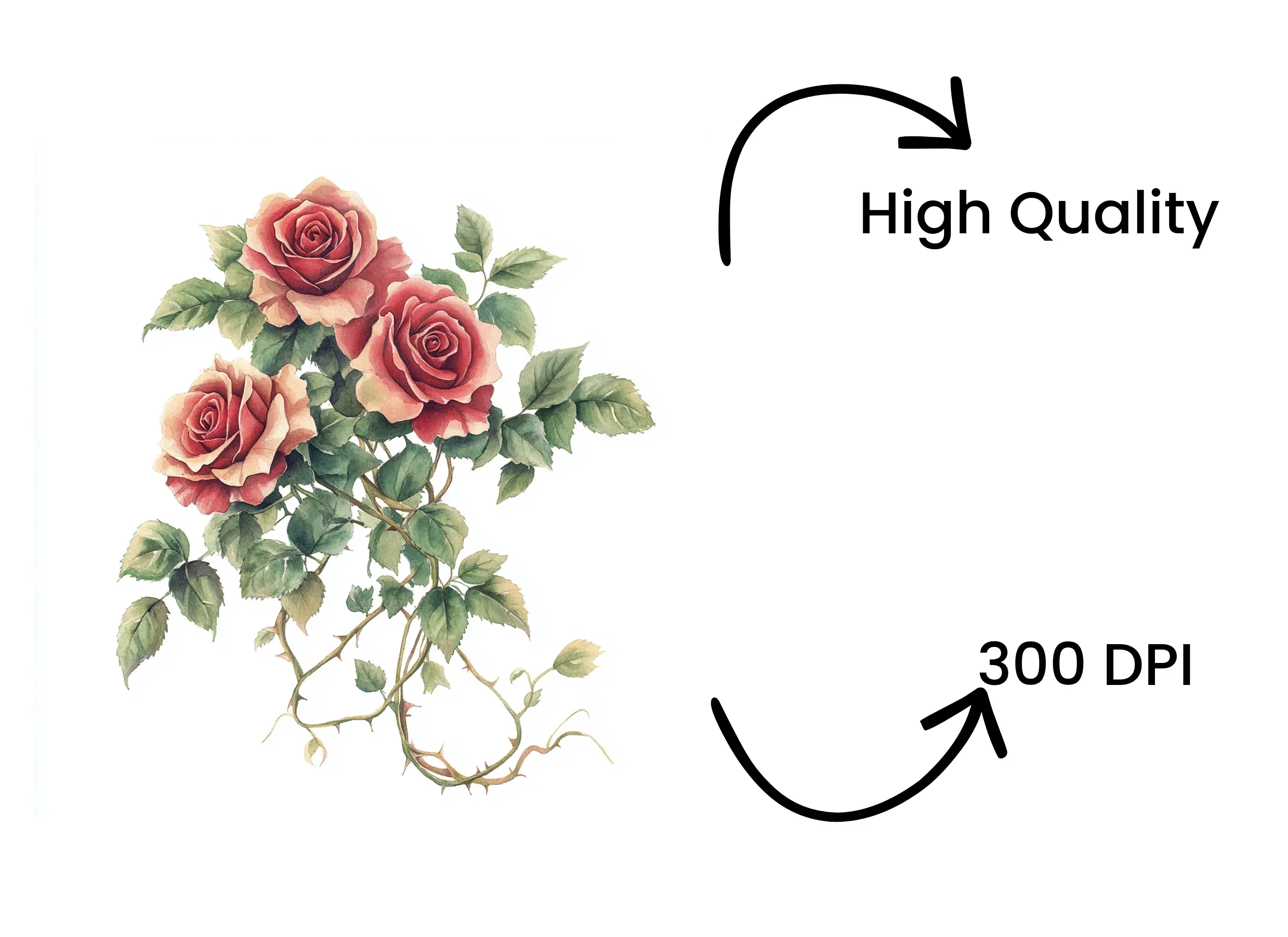 Red Roses Clipart Bundle - Image 4