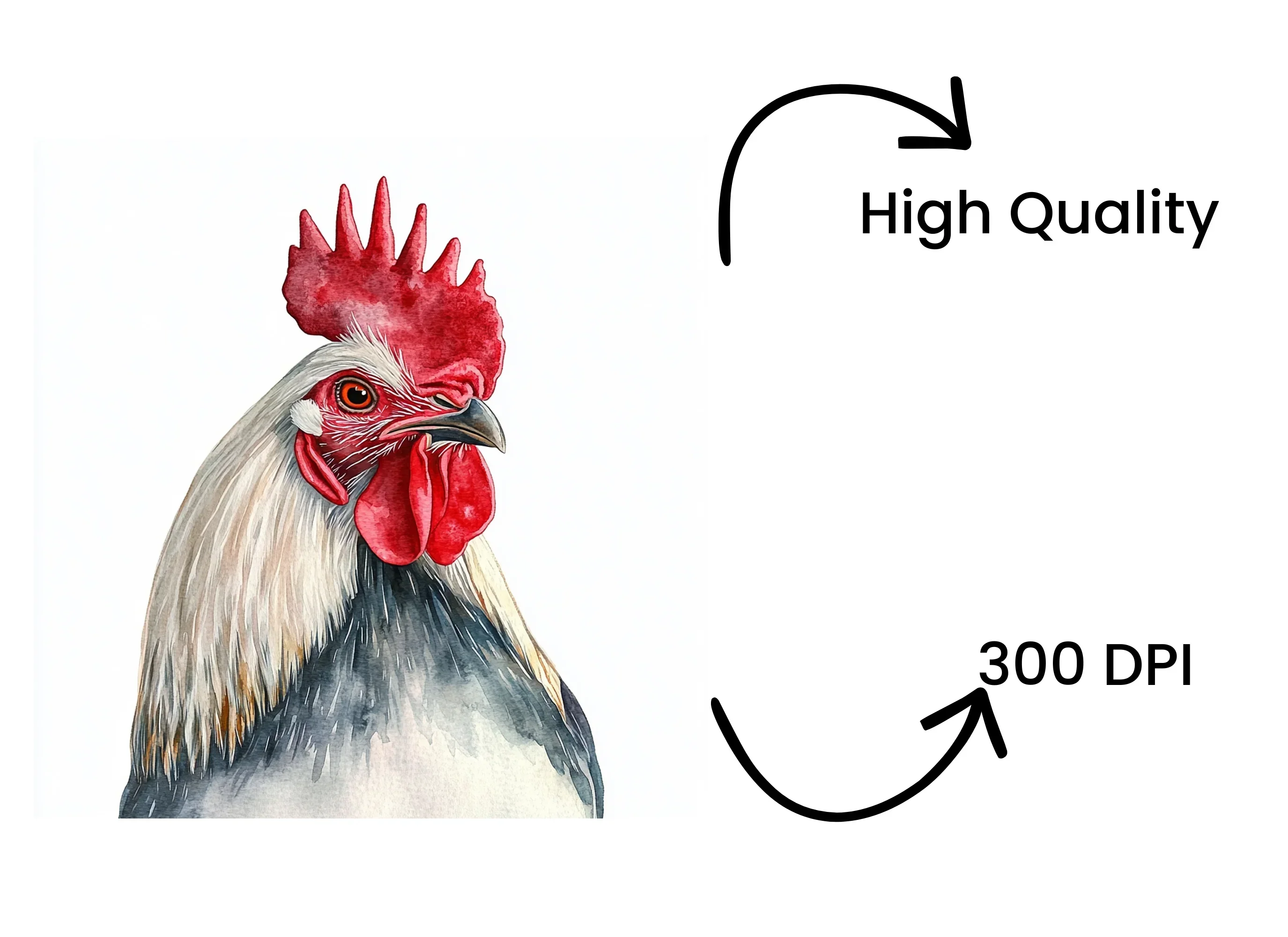 Rooster Clipart Bundle - Image 4