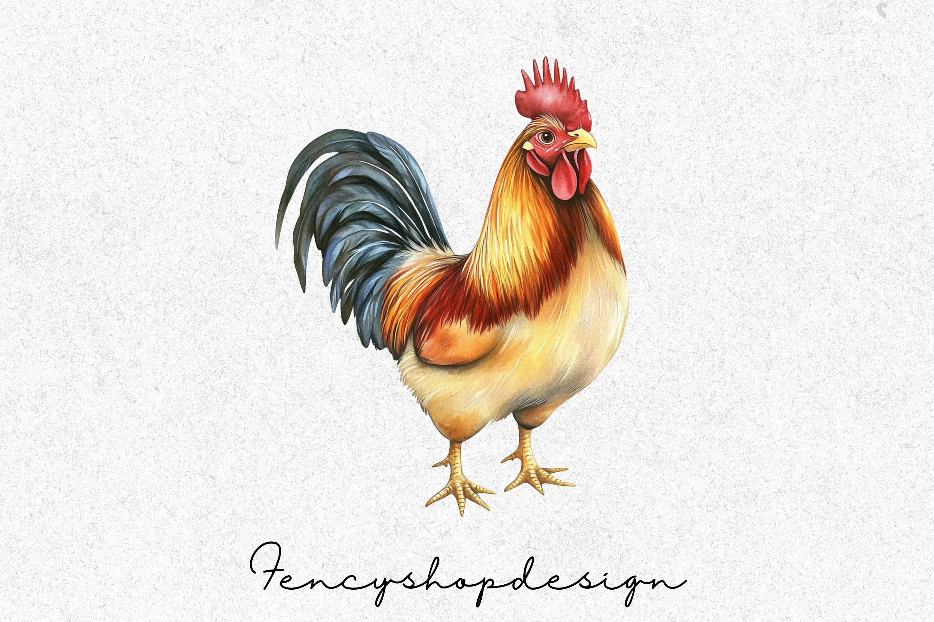 Rooster Clipart Bundle - Image 6
