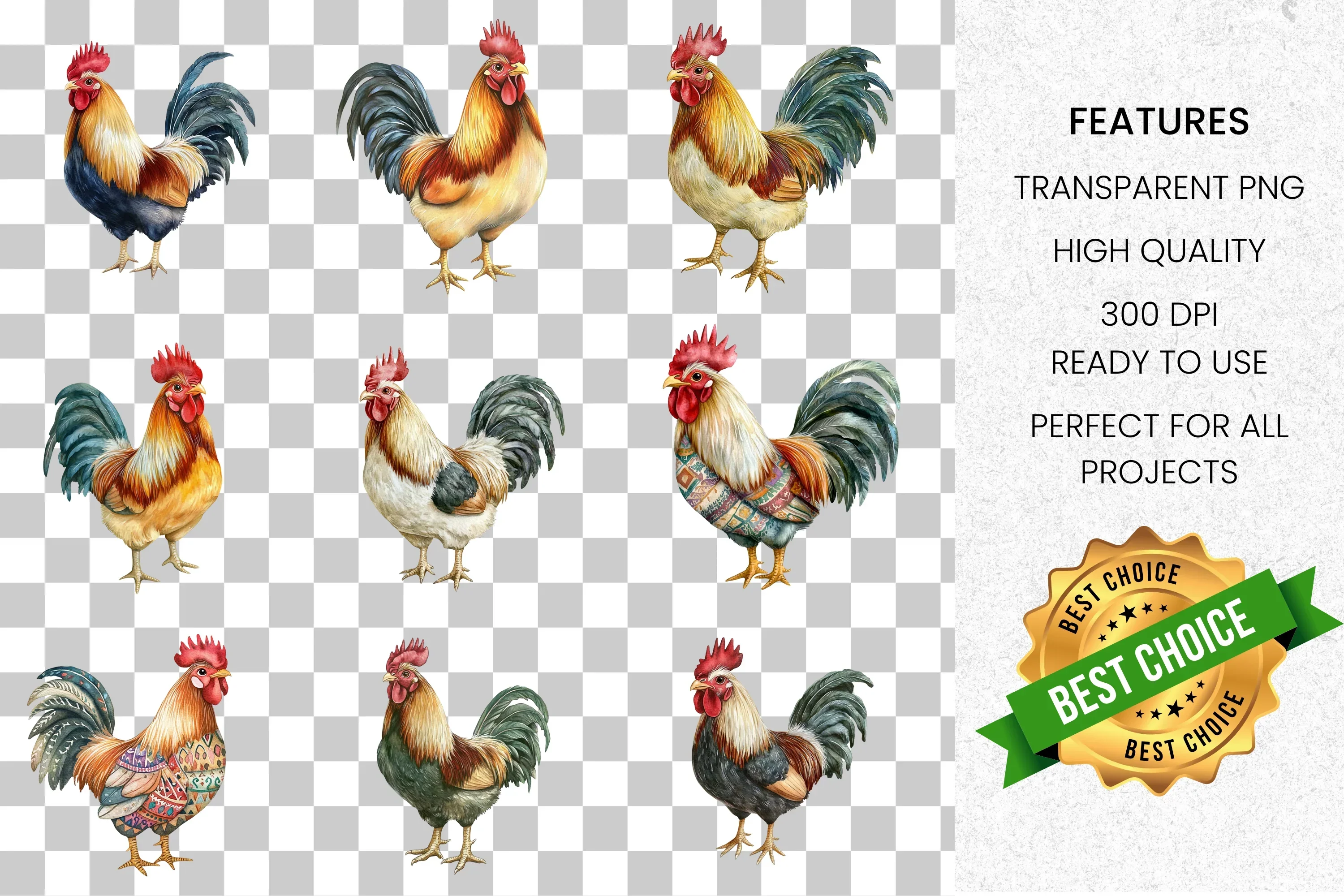Rooster Clipart Bundle - Image 8