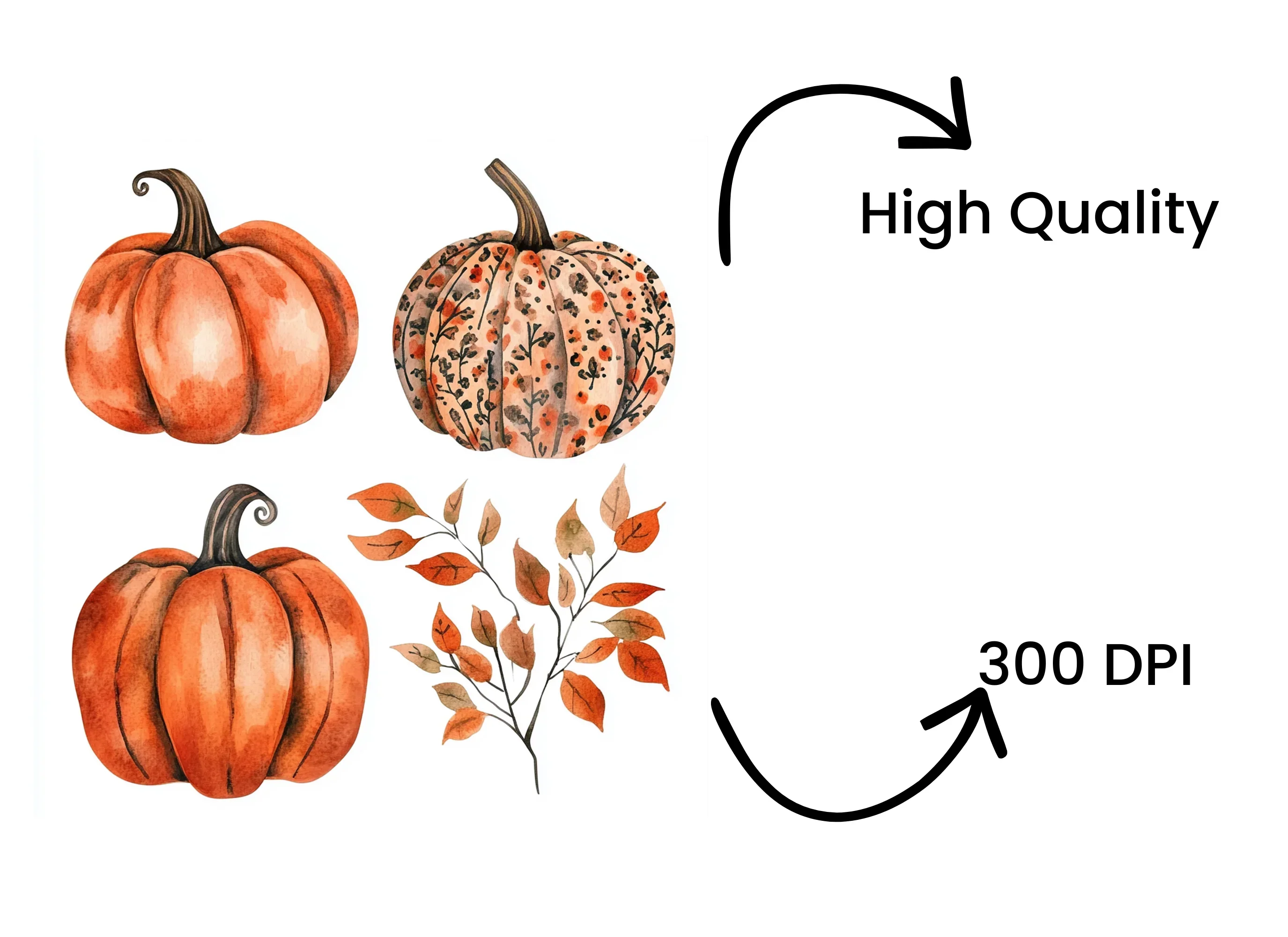 Rustic Fall Pumpkin Leaves Clipart Bundle - Image 4
