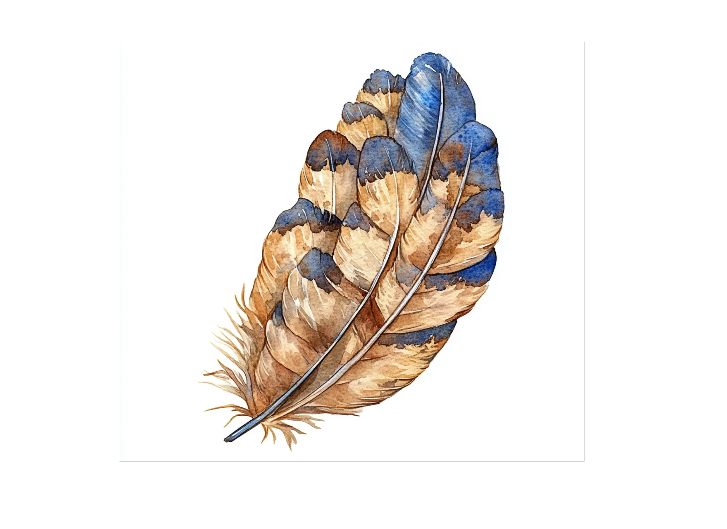 Rustic Feather Clipart Bundle - Image 3