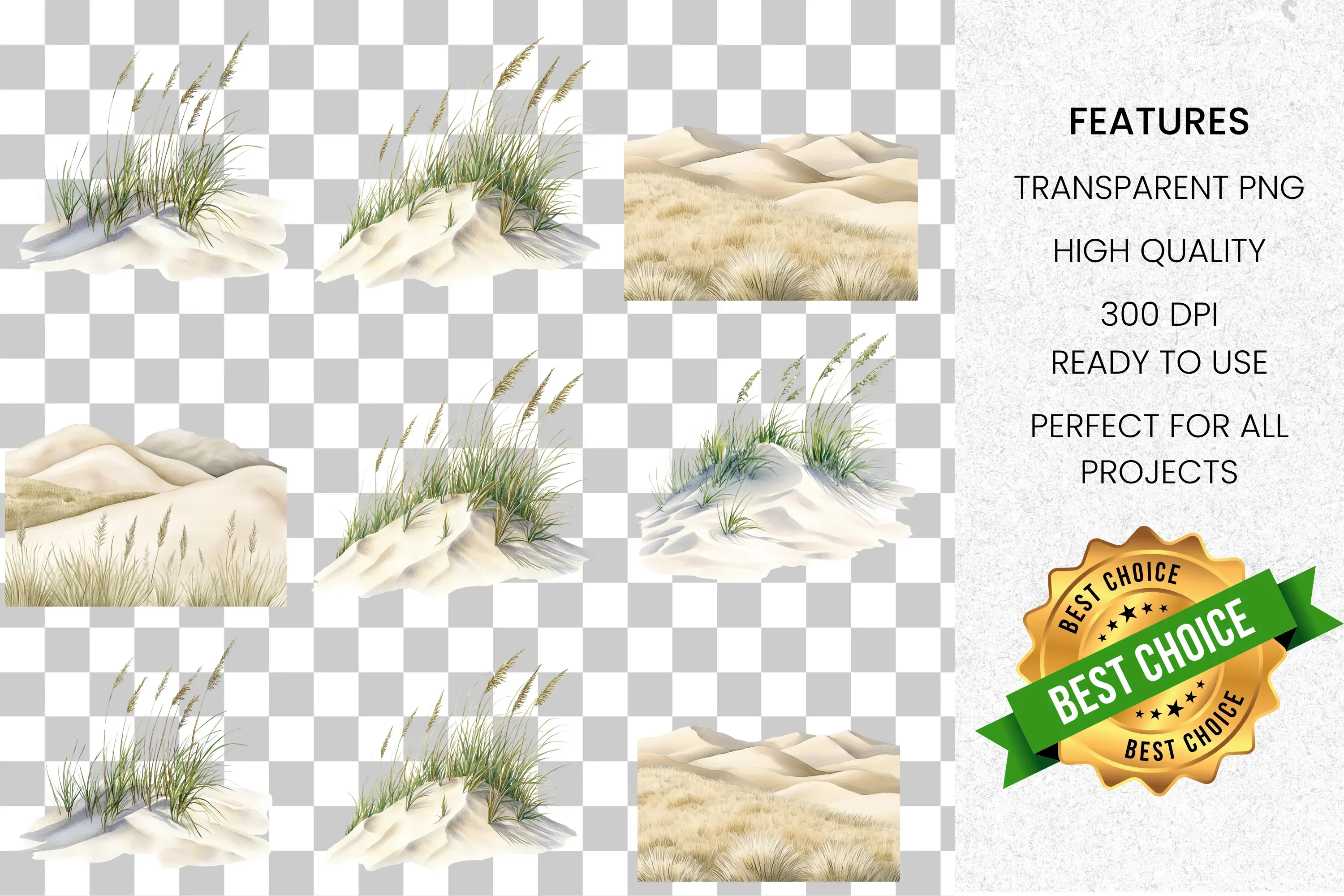 Sand Dunes Grass Clipart Bundle - Image 7