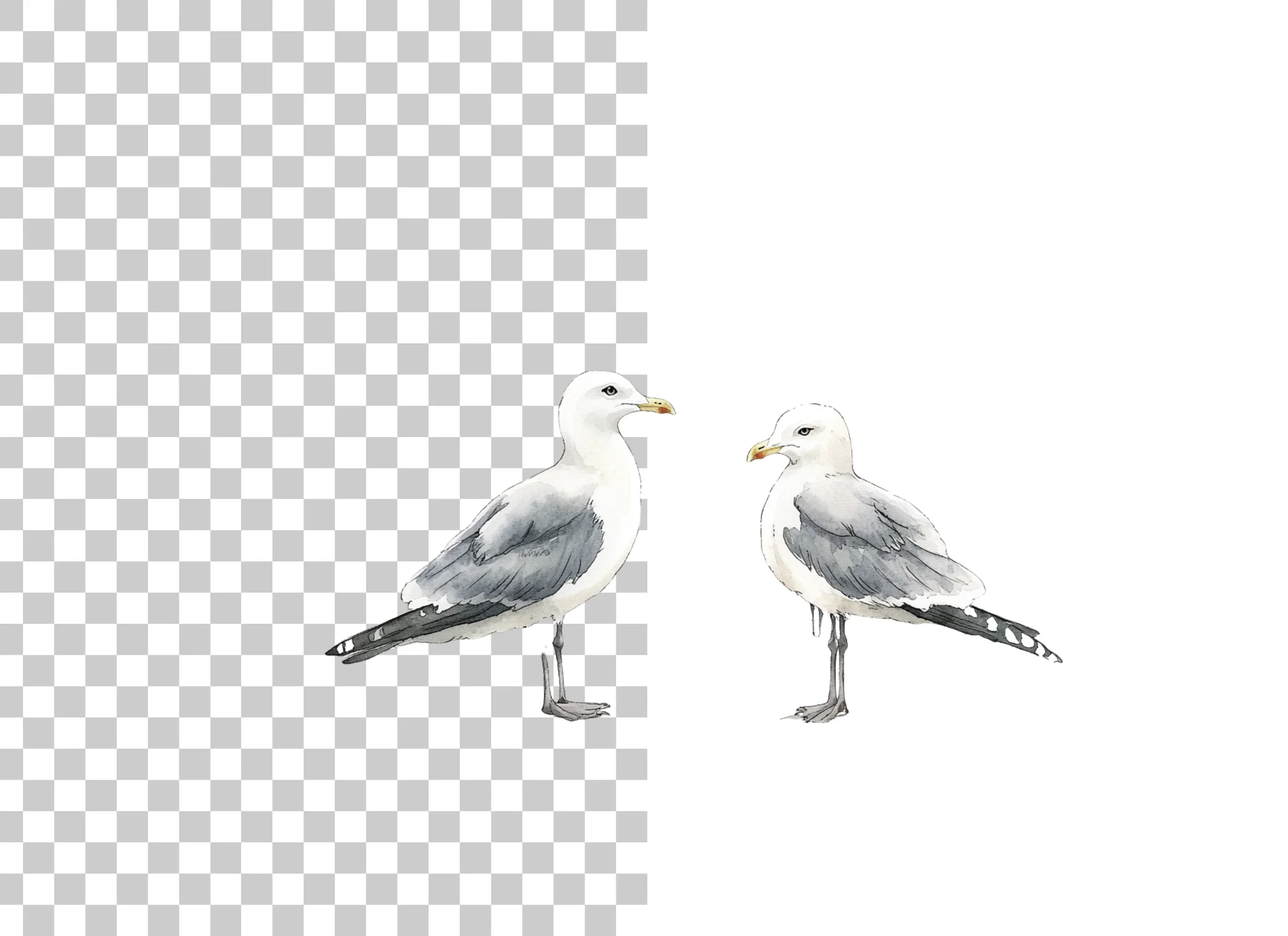 Seagull Clipart Bundle - Image 2