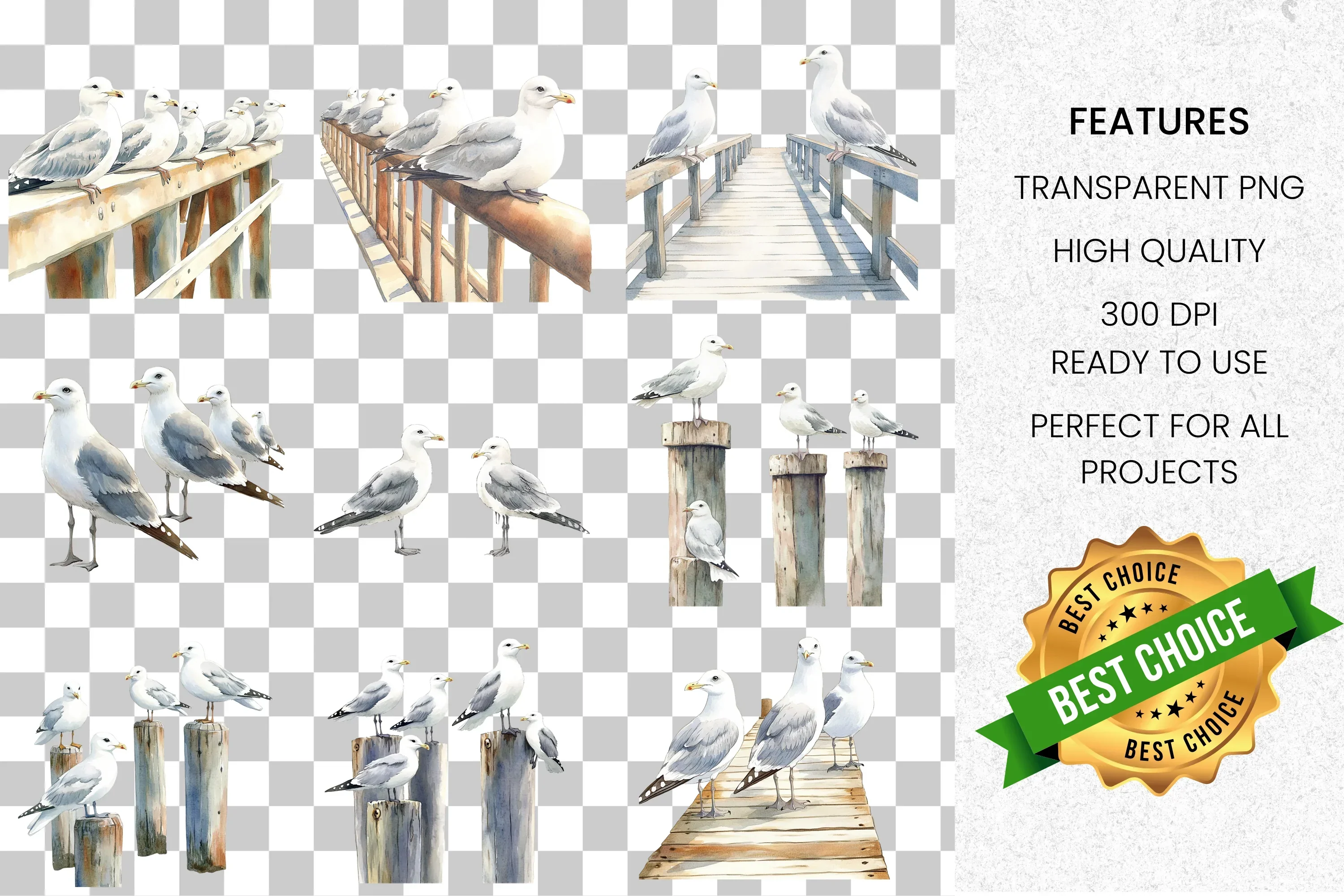Seagull Coastal Marine Birds Clipart Bundle - Image 2