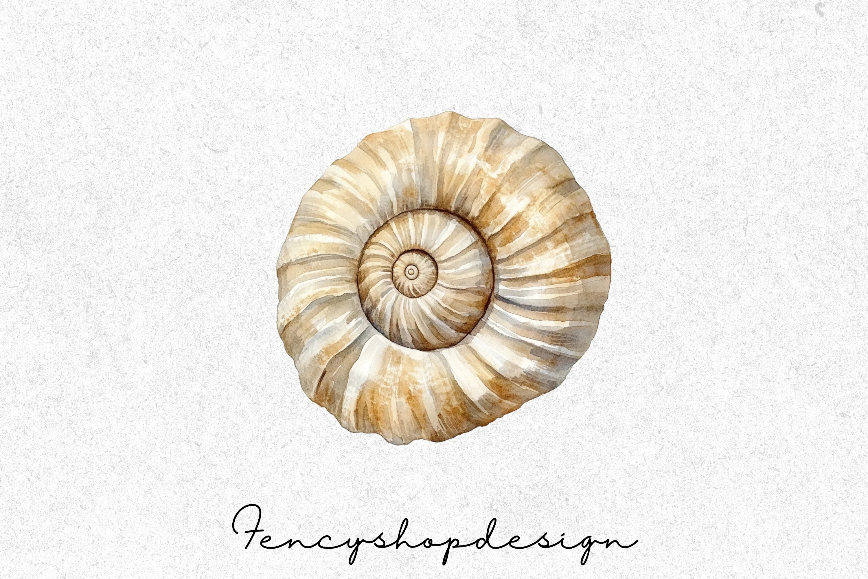Seashell Ammonite Clipart Bundle - Image 3