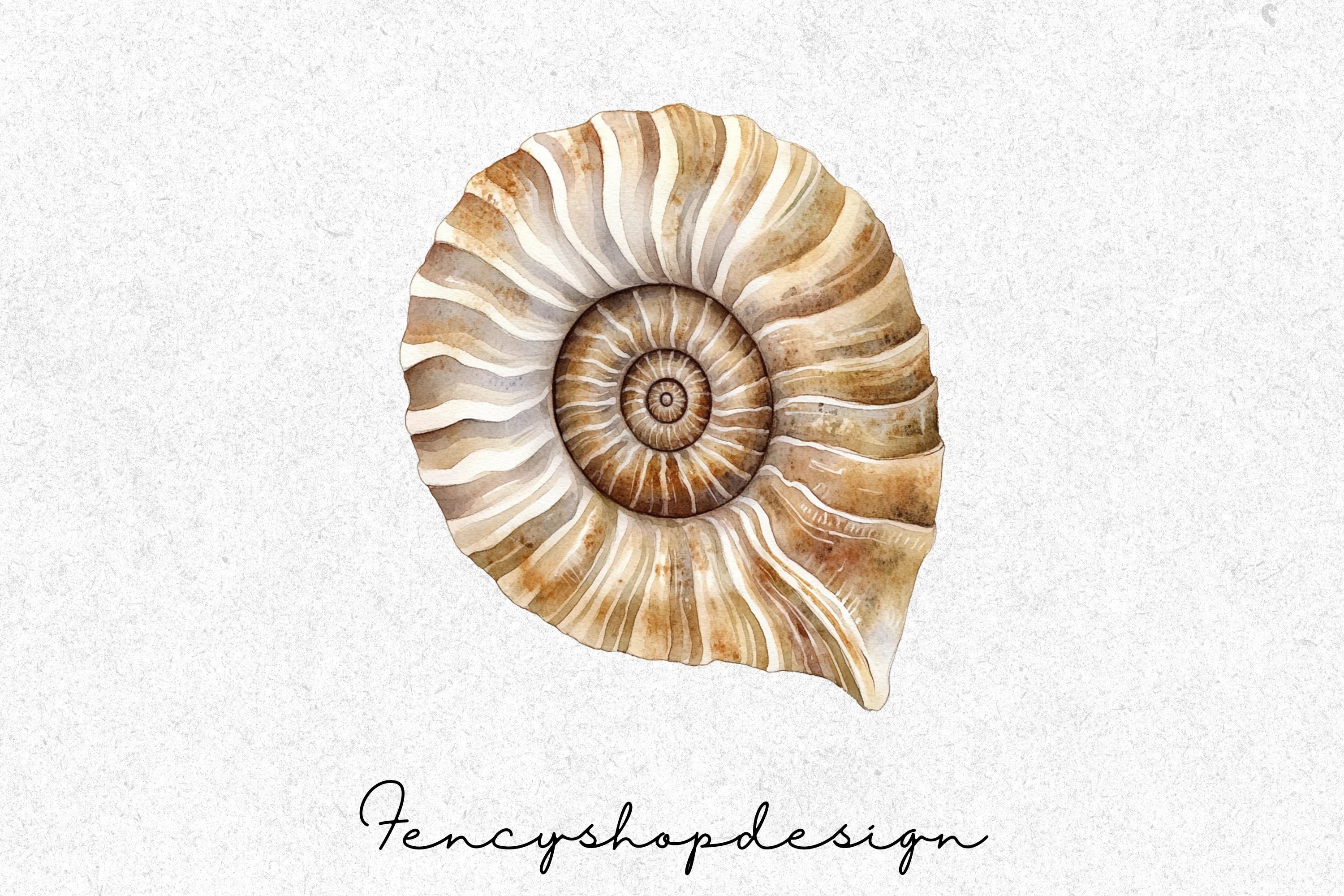 Seashell Ammonite Clipart Bundle - Image 4