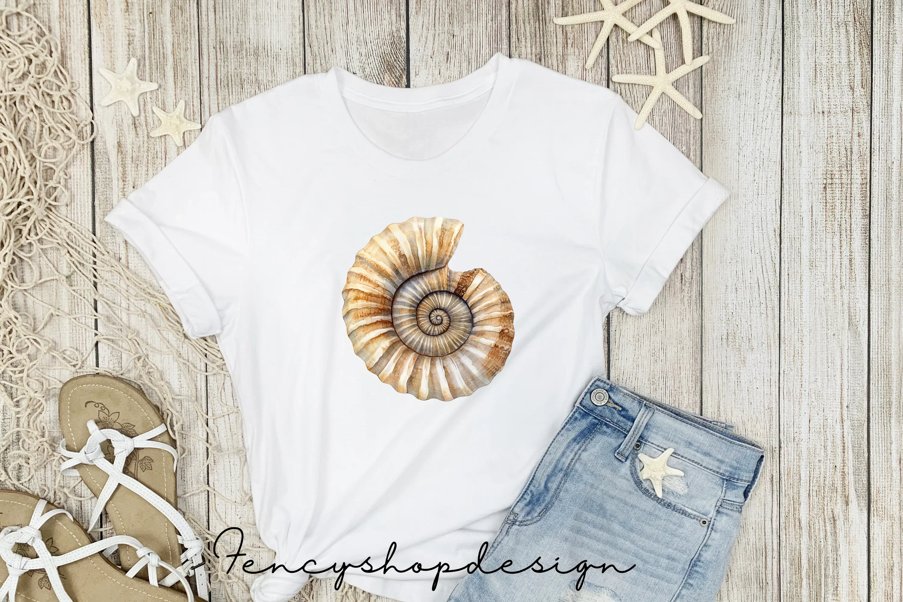 Seashell Ammonite Clipart Bundle - Image 5