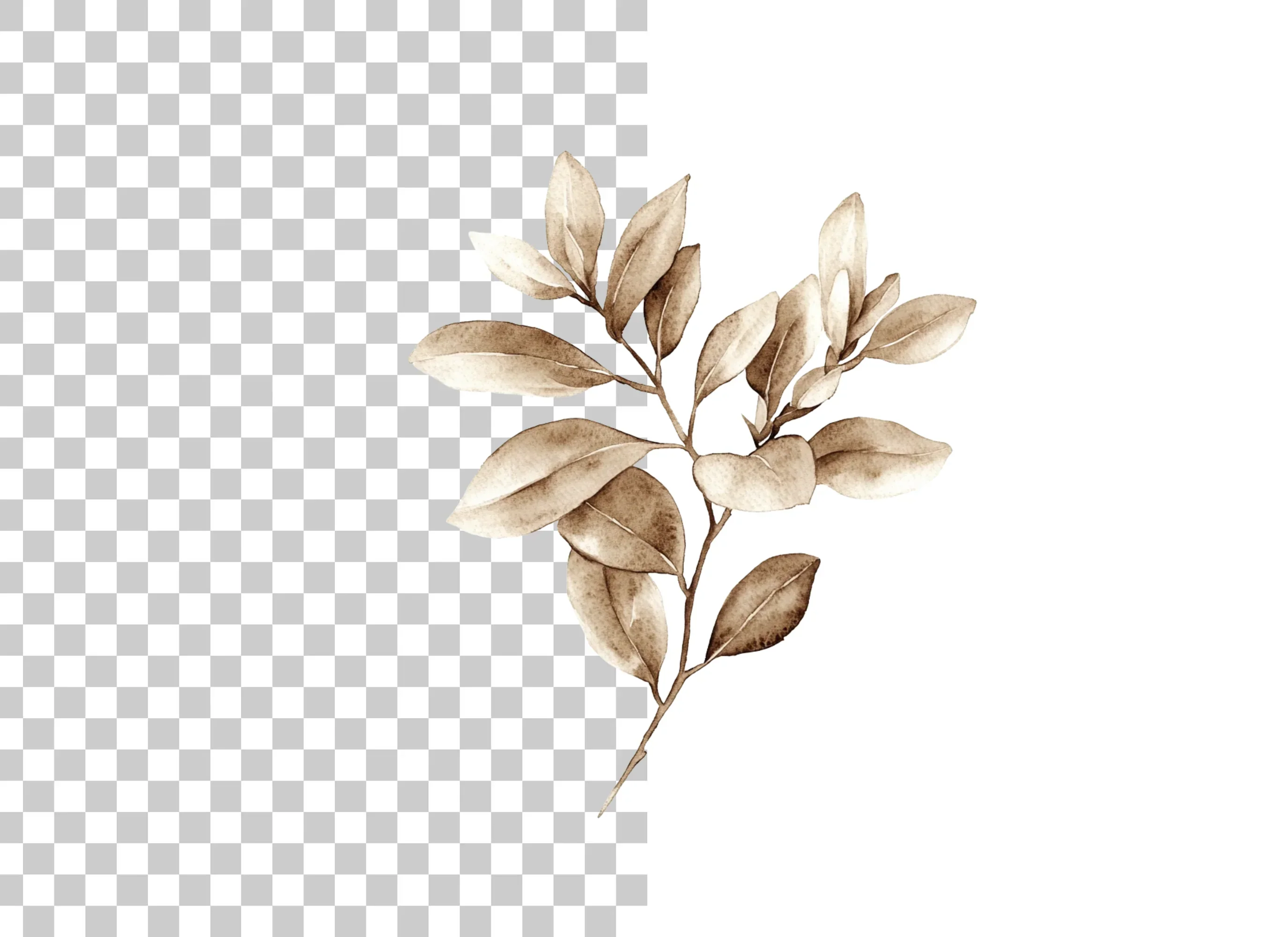 Sepia Leaf Branch Clipart Bundle - Image 2