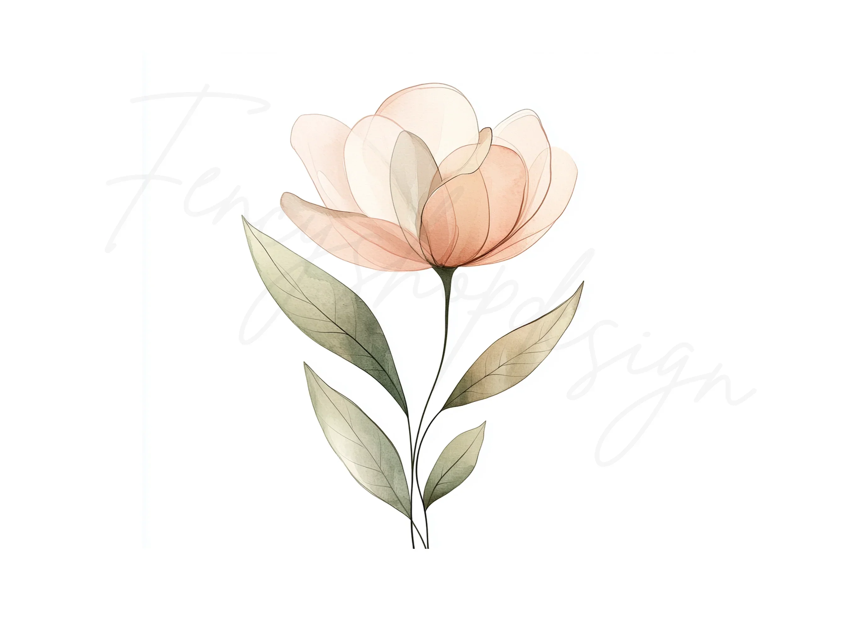 Sheer Botanical Clipart Bundle - Image 3