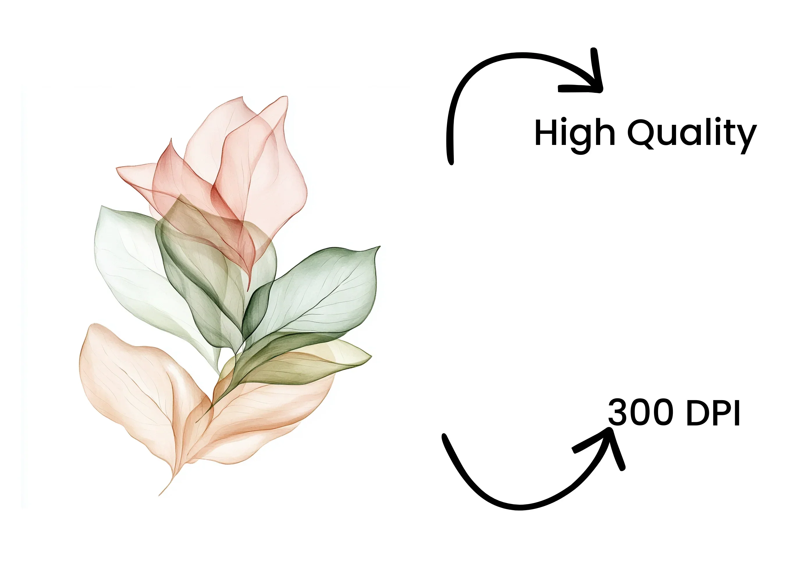 Sheer Botanical Clipart Bundle - Image 4