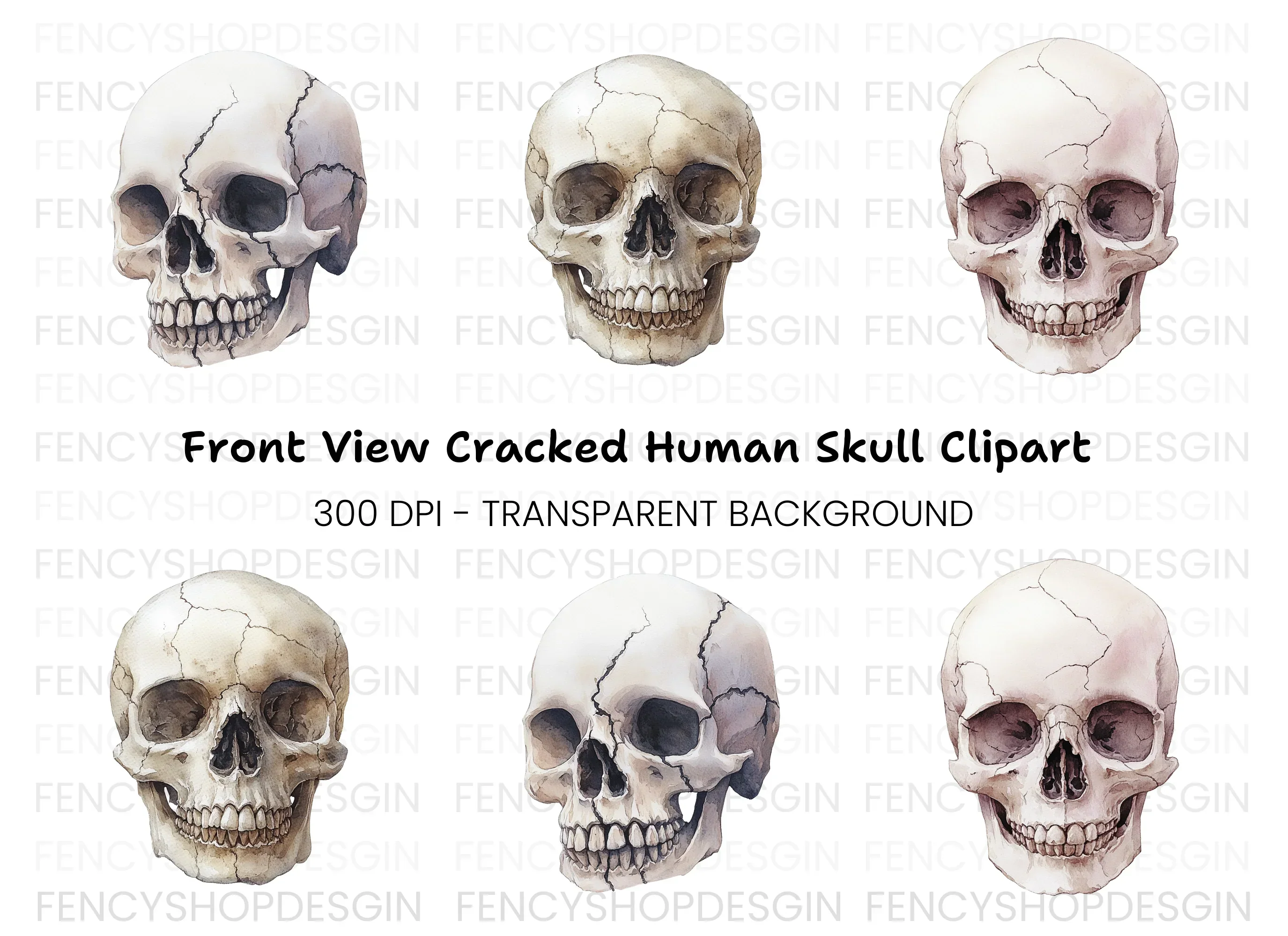 Skull Clipart Bundle