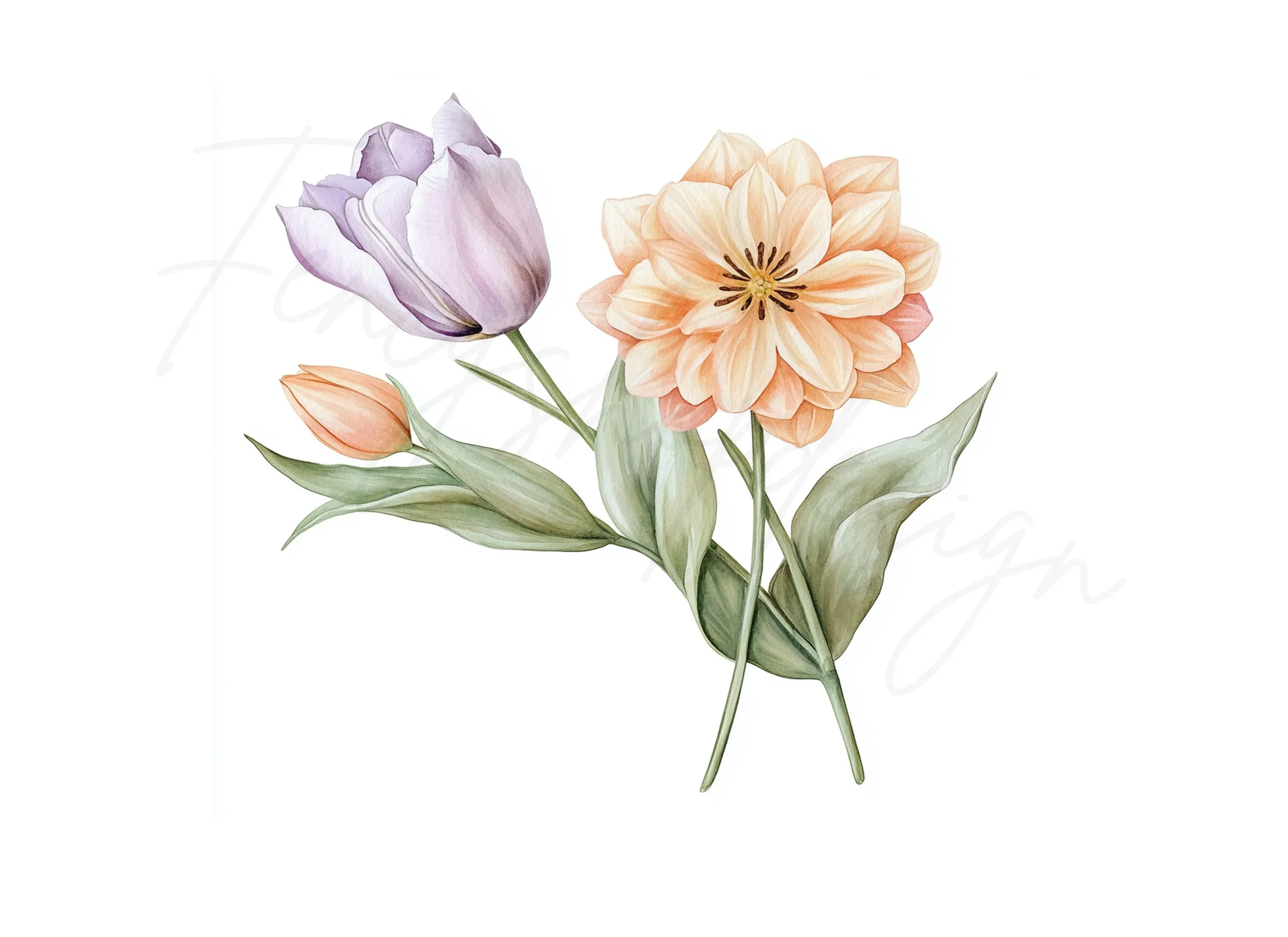 Spring Tulip Dahlia Bouquets Clipart Bundle - Image 2