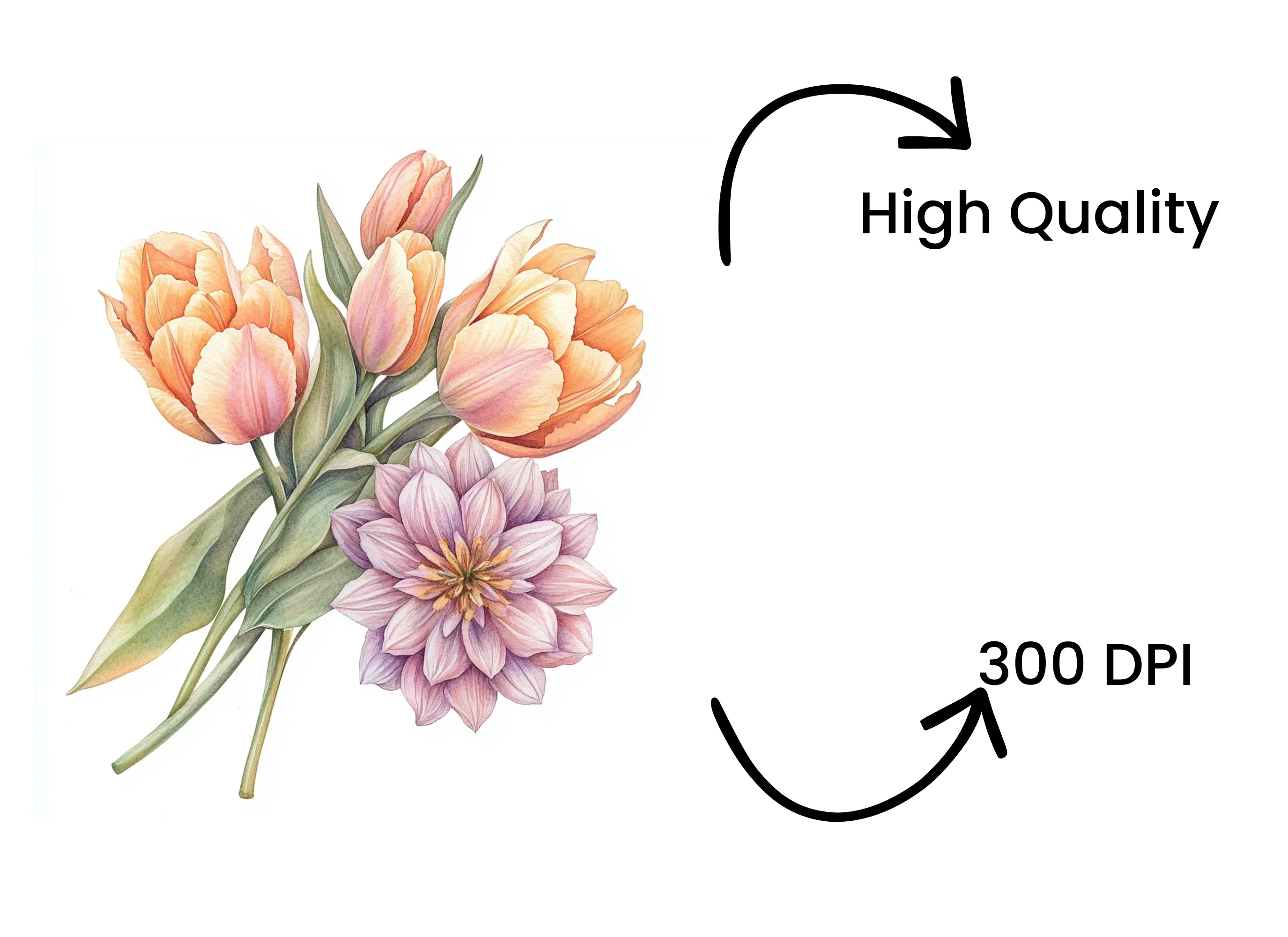 Spring Tulip Dahlia Bouquets Clipart Bundle - Image 4