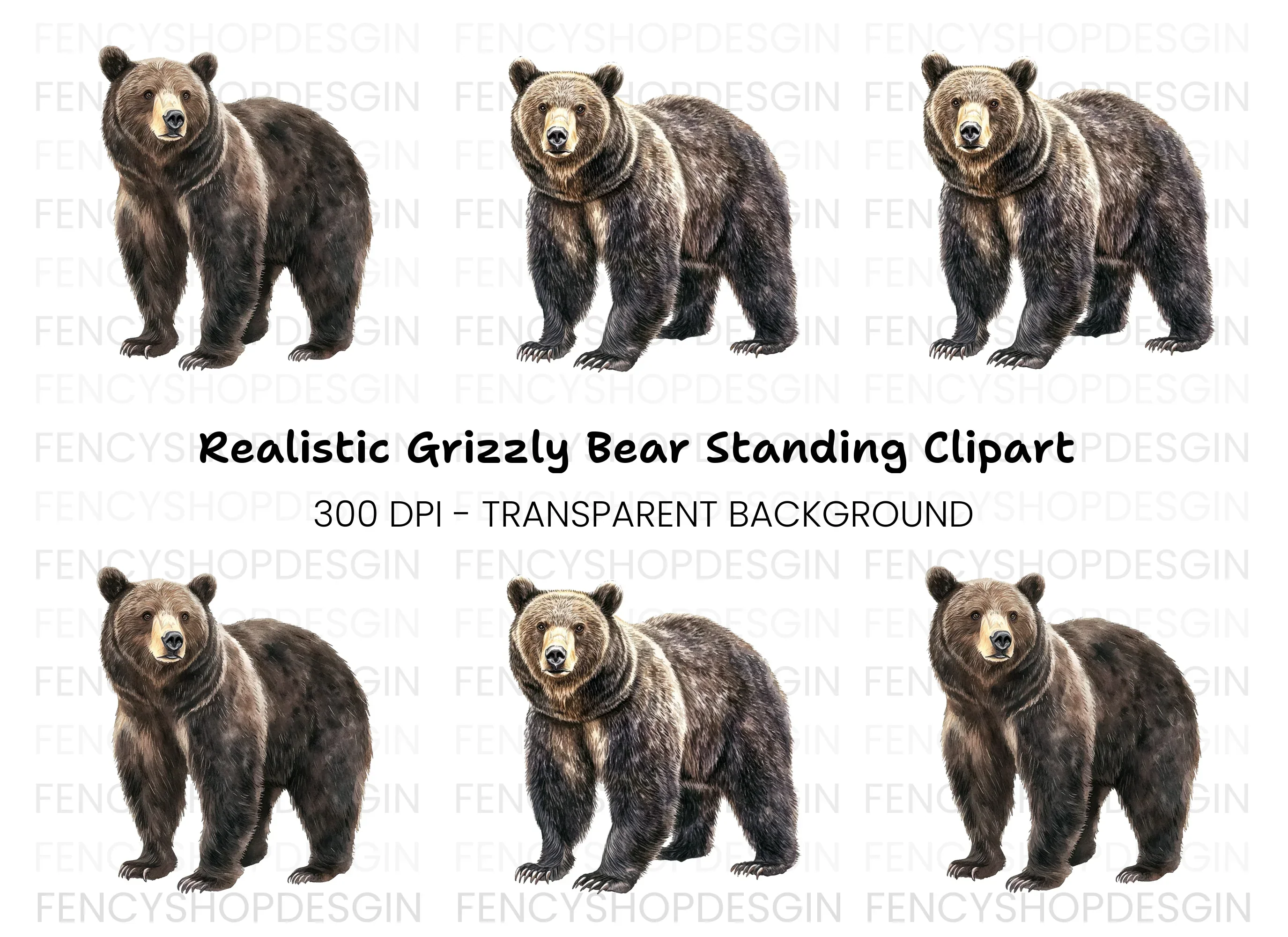 Standing Grizzly Bear Duo Clipart Bundle