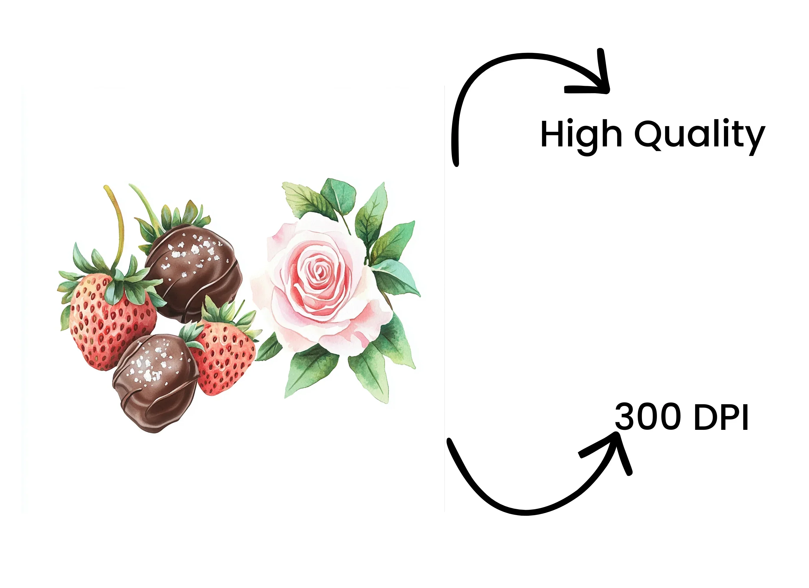 Strawberries Chocolate Roses Clipart Bundle - Image 4