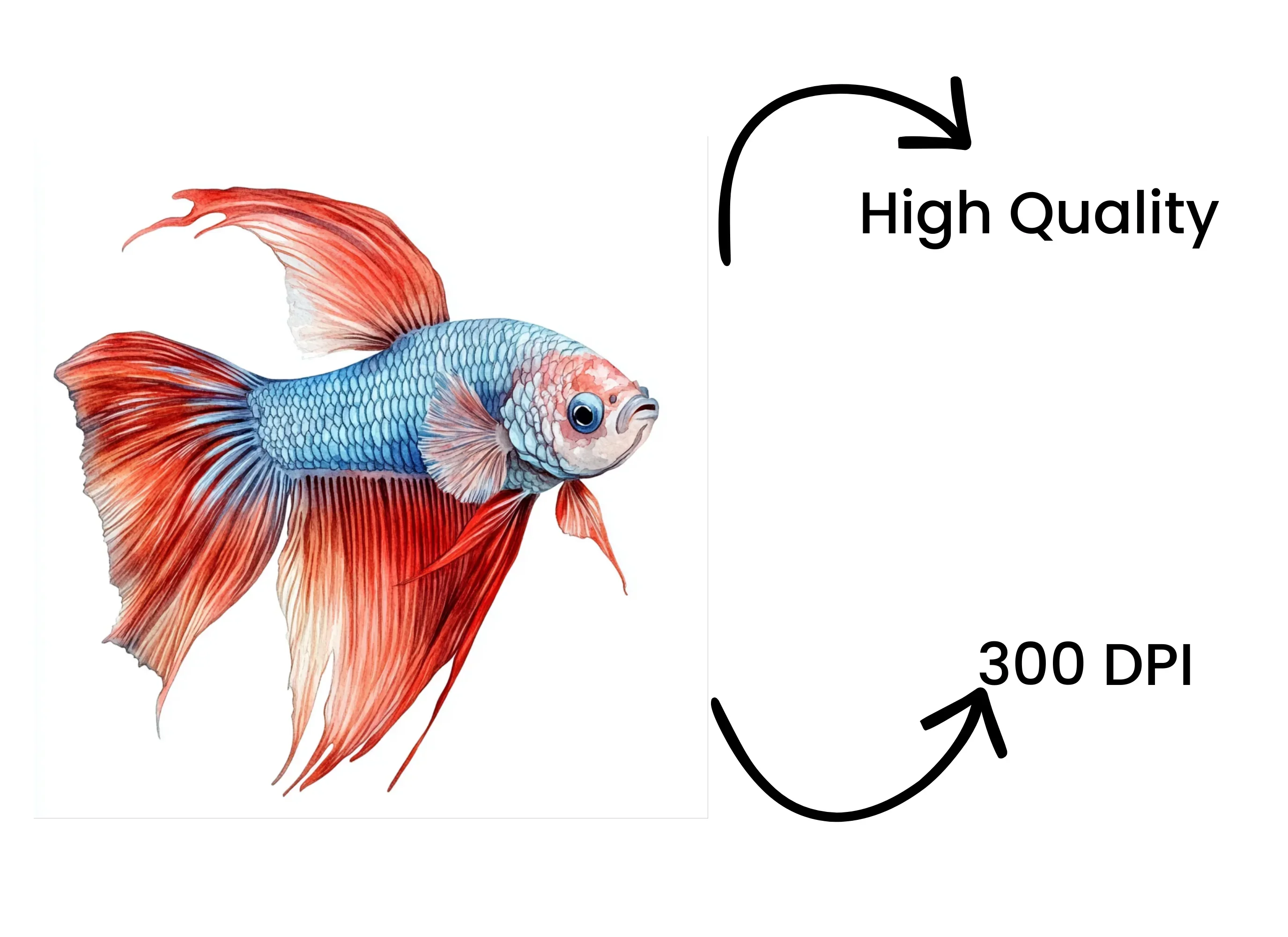 Stunning Betta Fish Clipart Bundle - Image 4