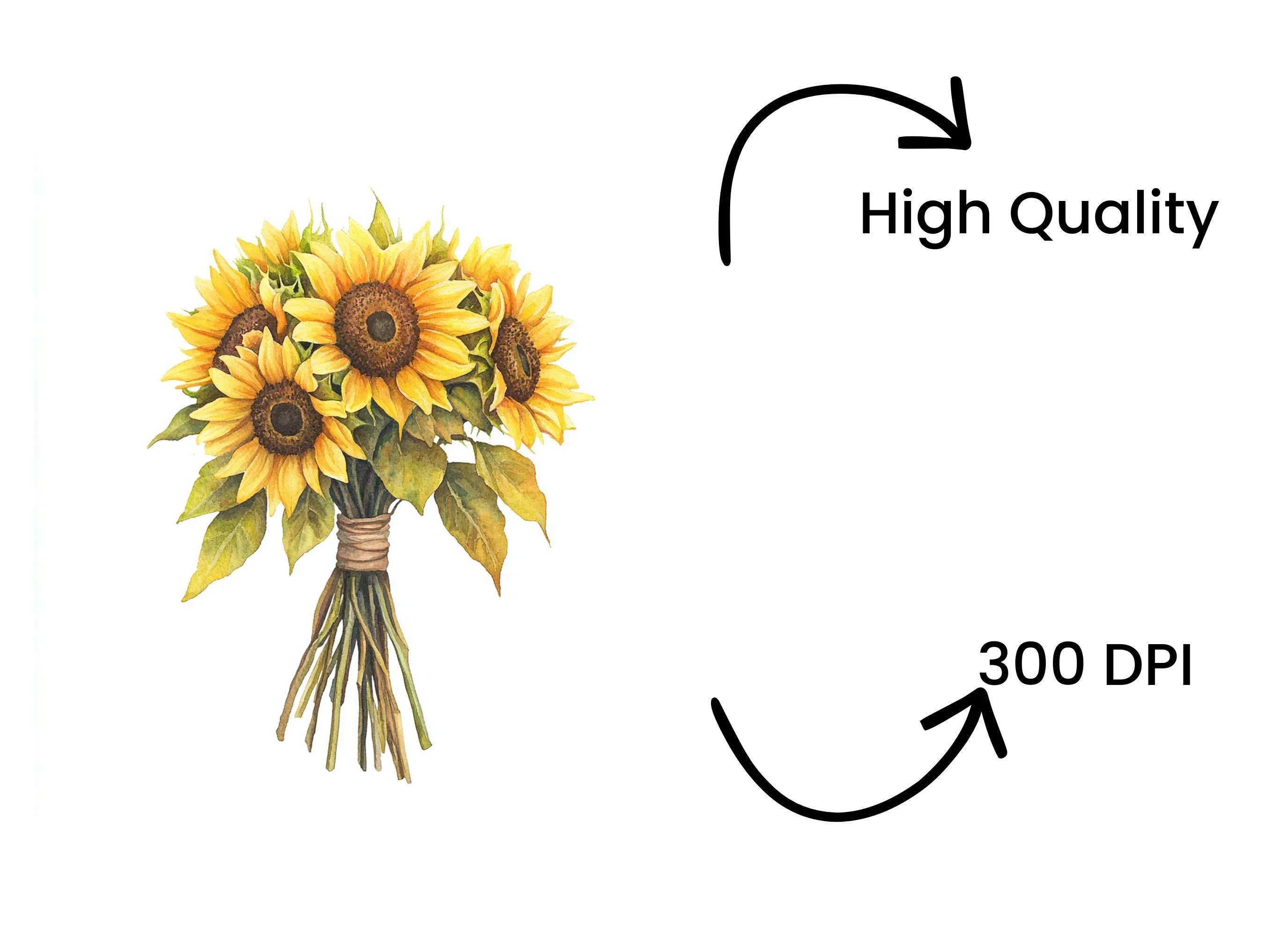 Sunflower Bouquet Clipart Bundle - Image 4