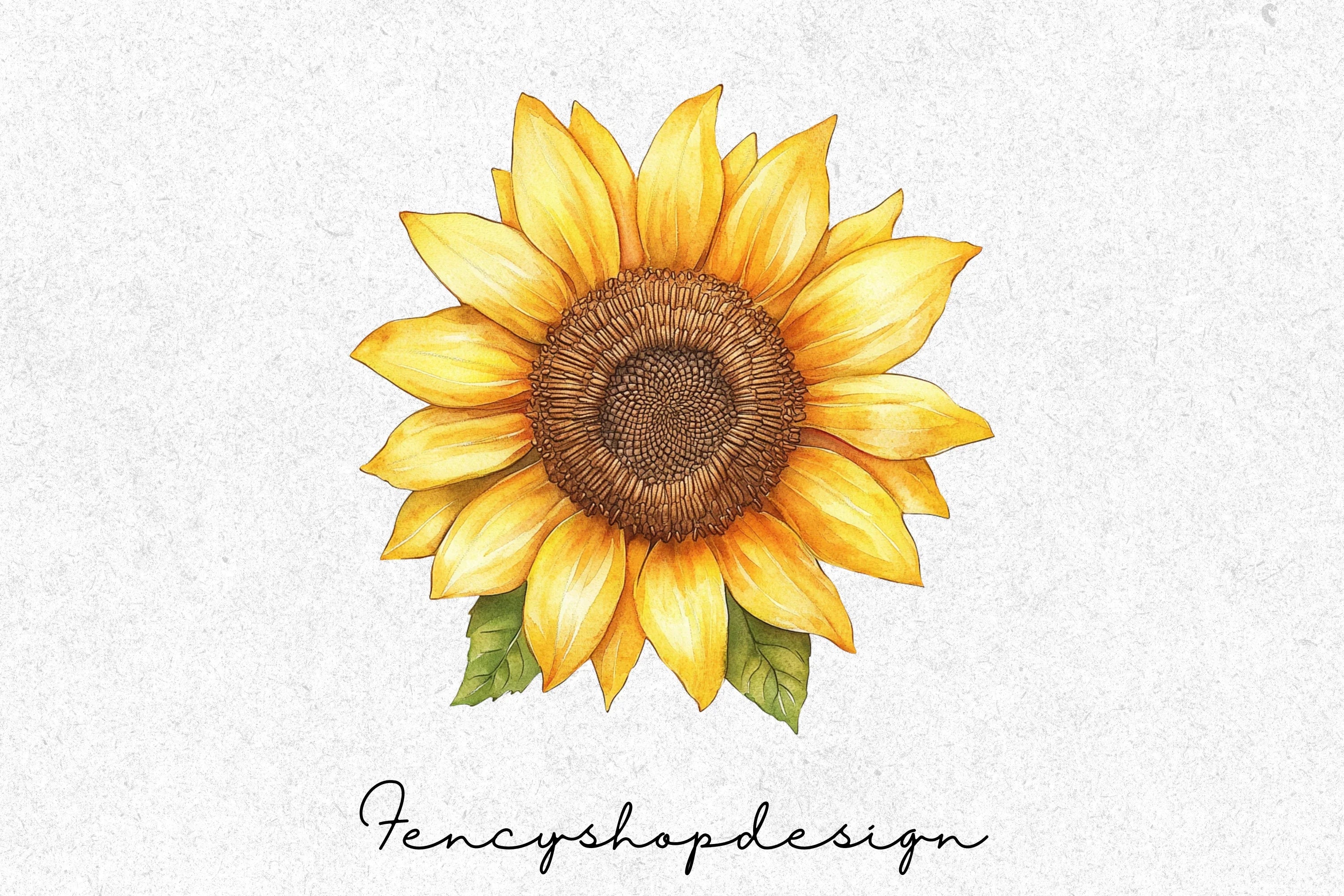 Sunflower Clipart Bundle - Image 4