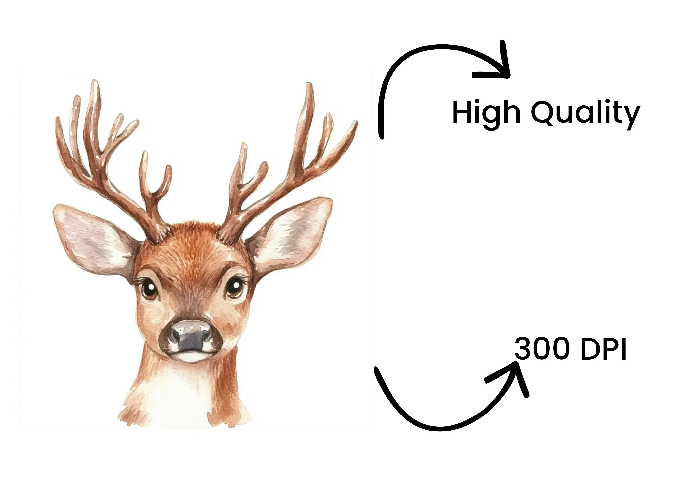 Sweet Fawn Duo Clipart Bundle - Image 4
