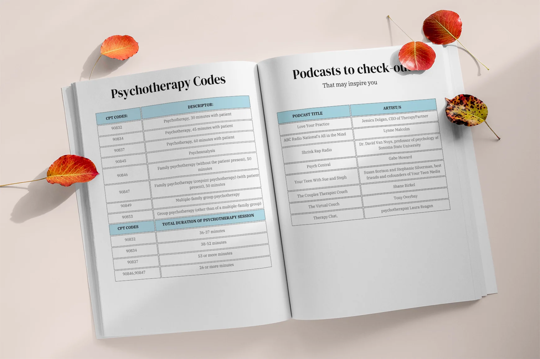 Therapy Practice Journal - Image 3