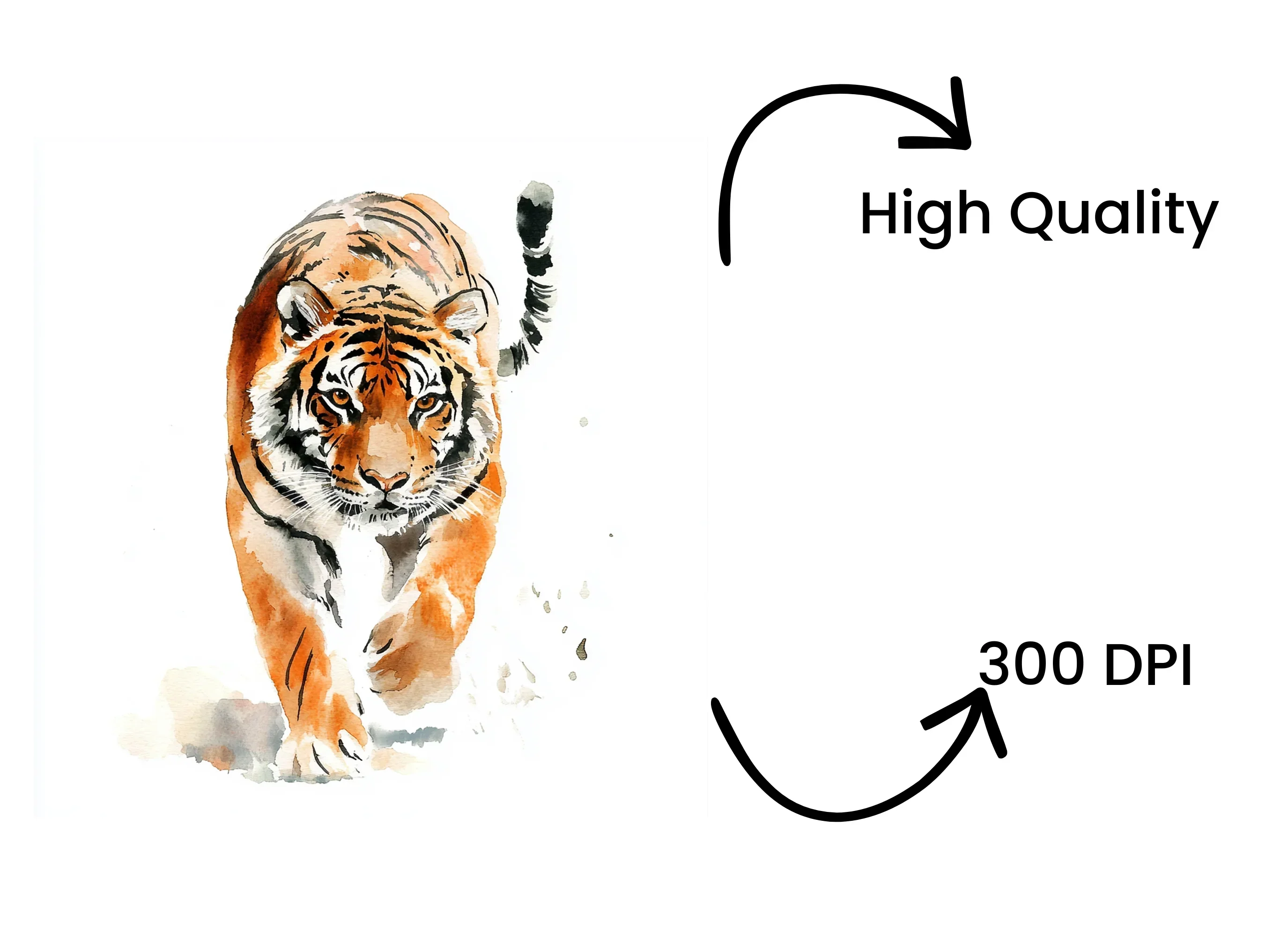 Tiger Clipart Bundle - Image 4