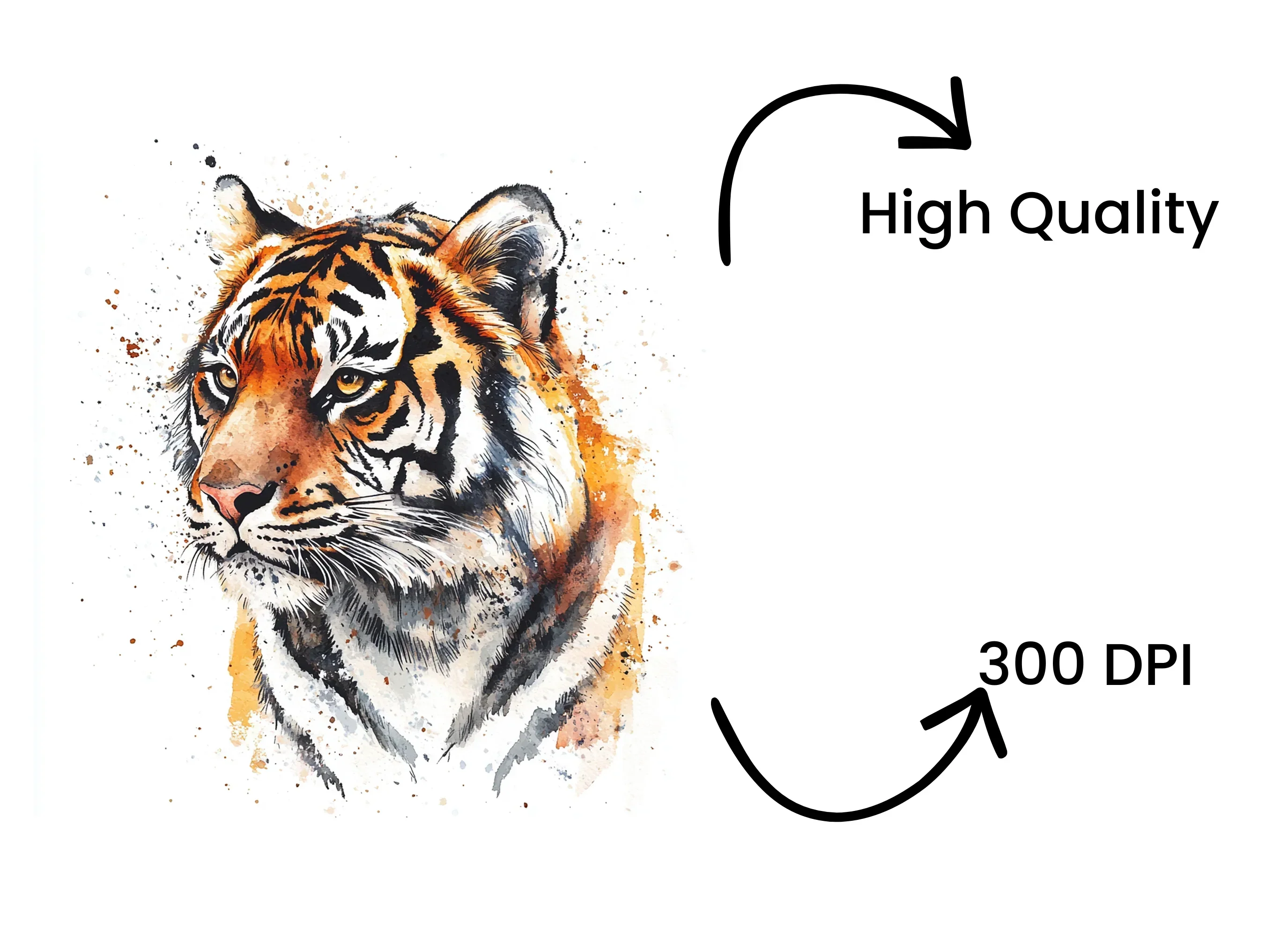 Tiger Head Clipart Bundle - Image 3