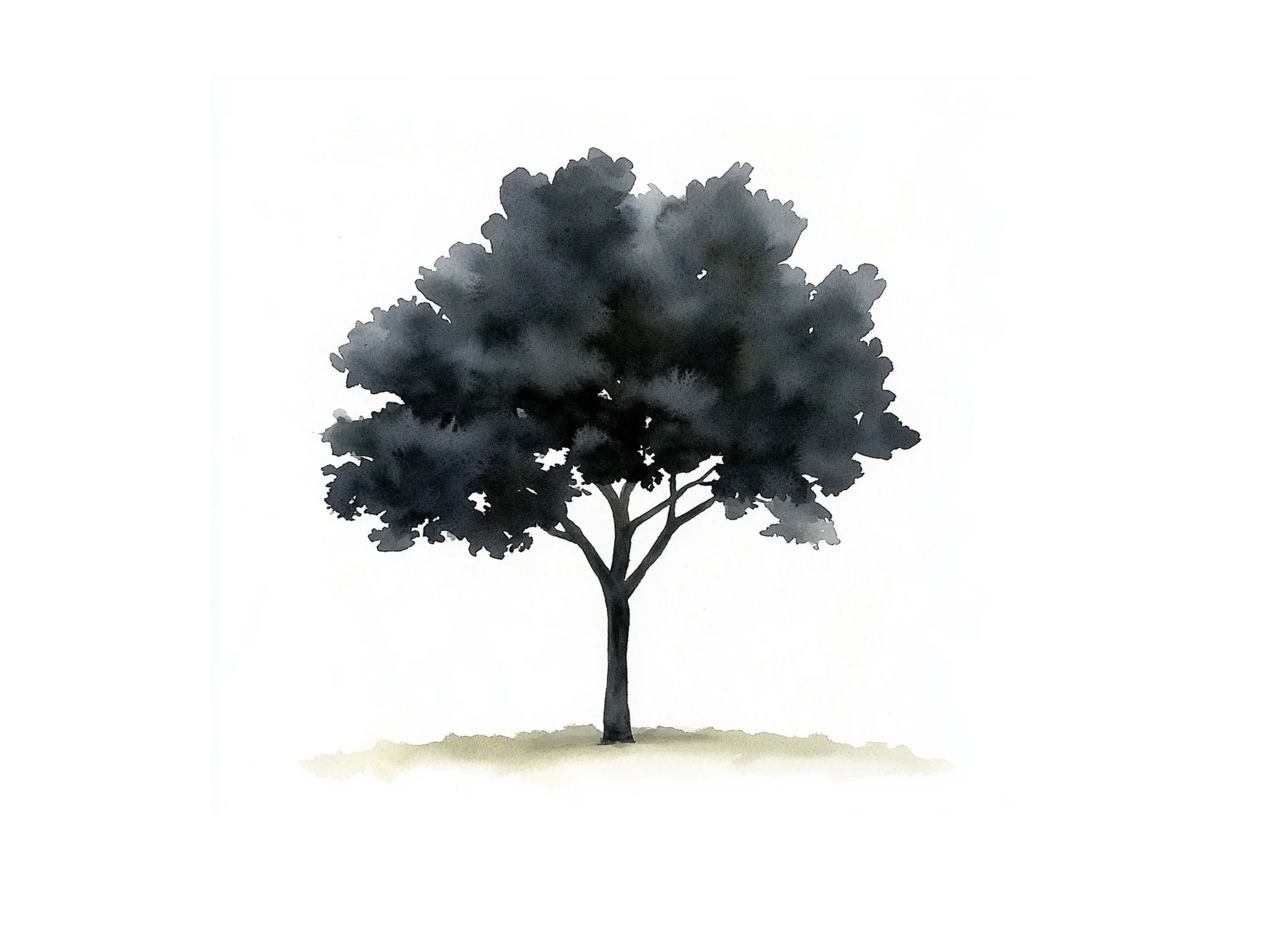 Tree Silhouettes Clipart Bundle - Image 2
