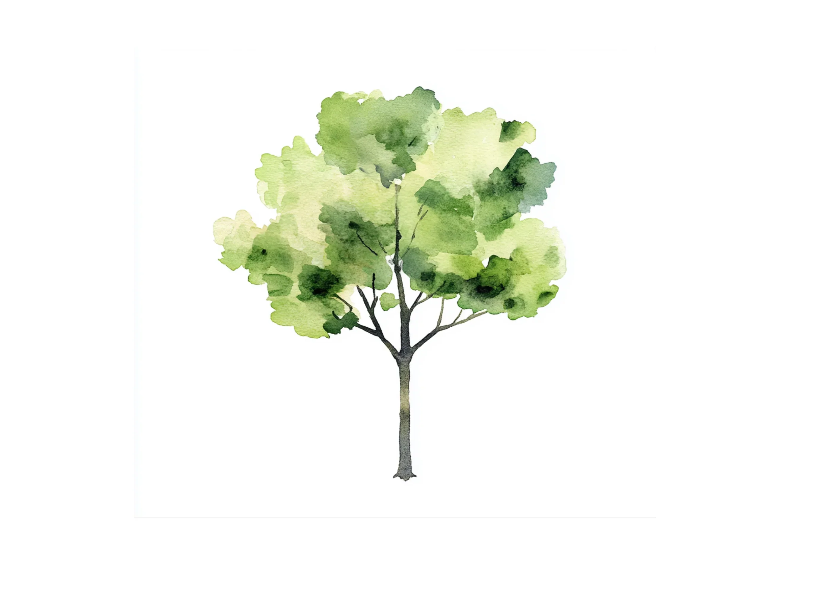 Trees Clipart Bundle - Image 2