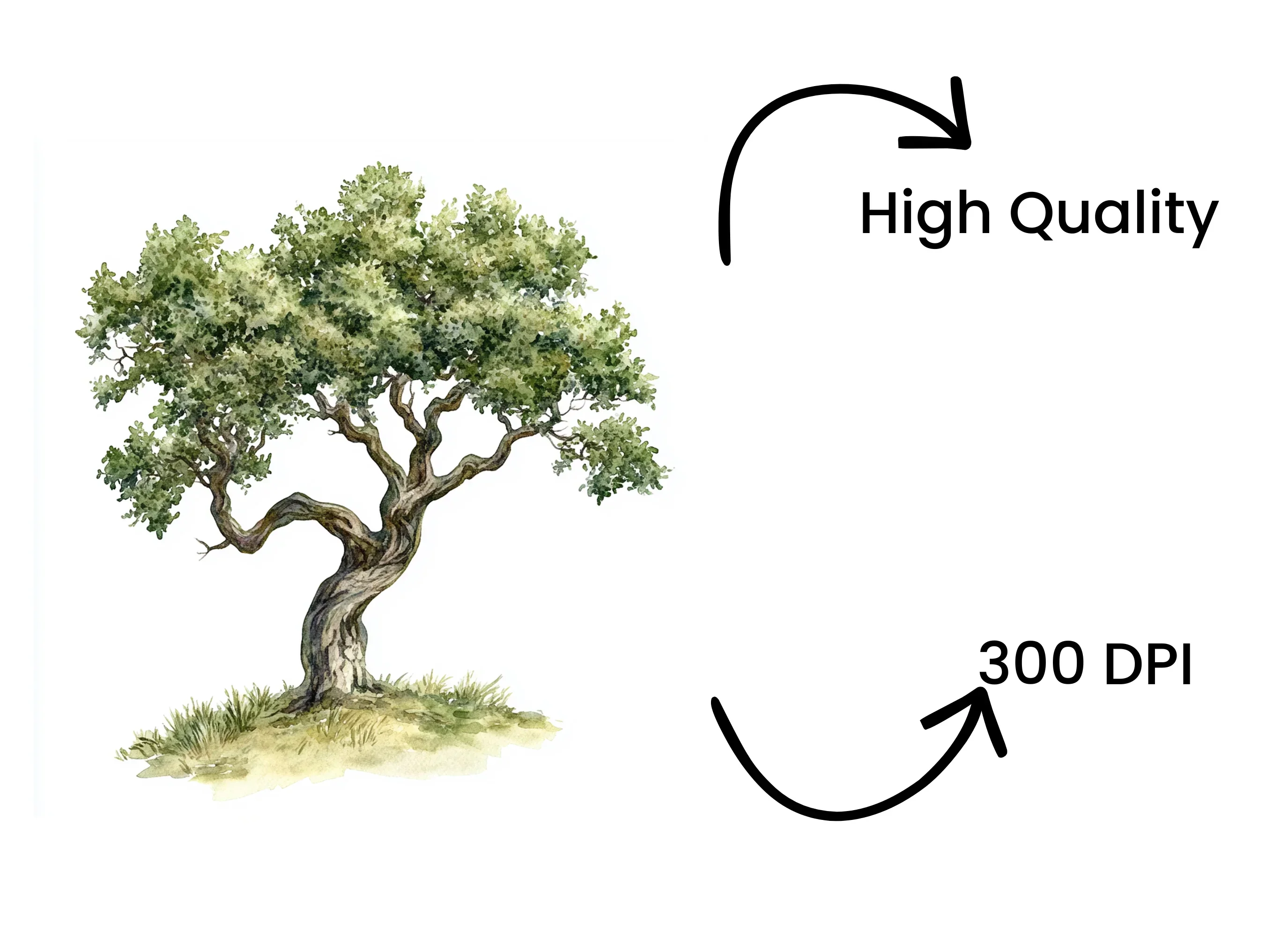 Trees Clipart Bundle - Image 4