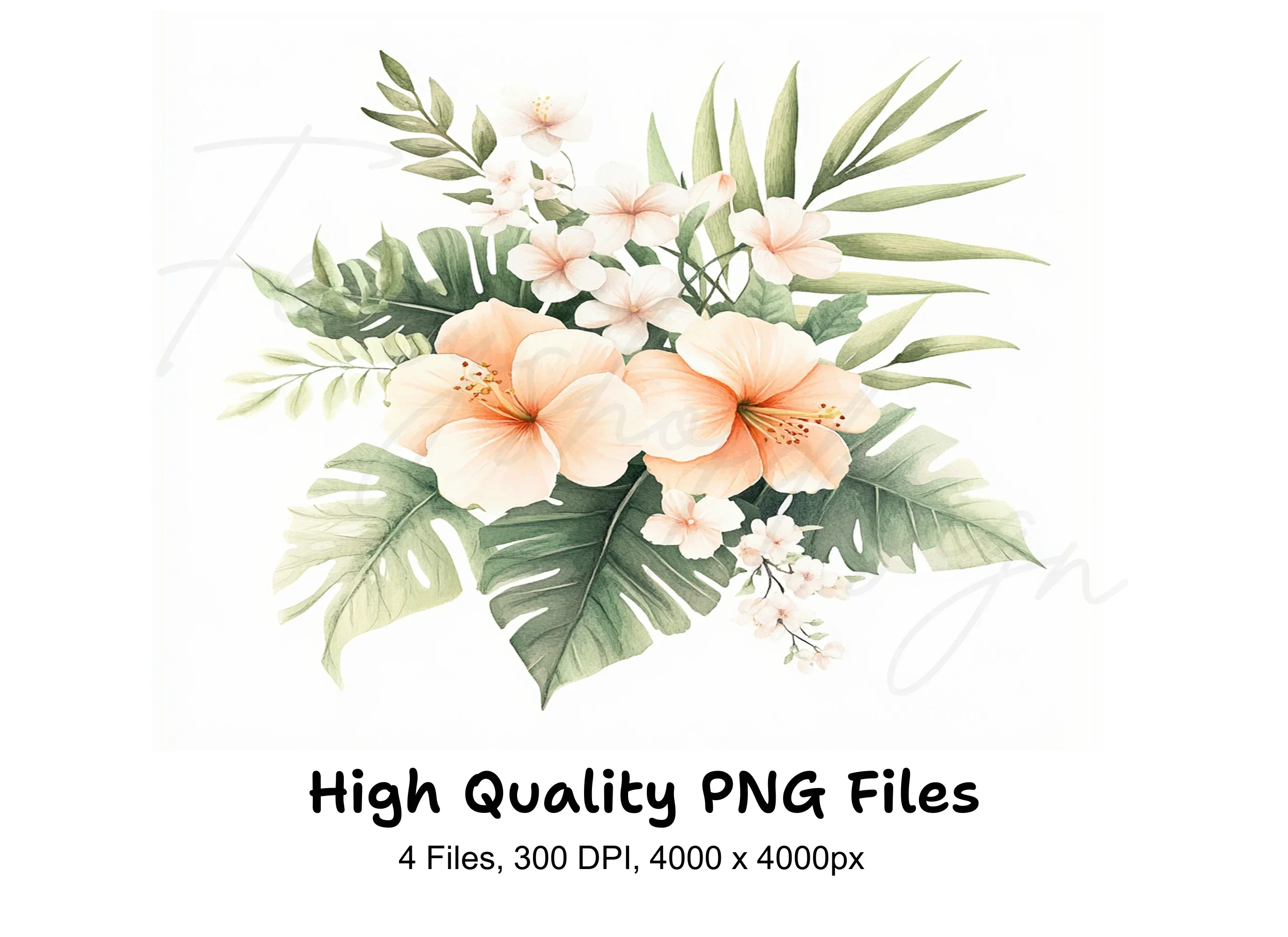 Tropical Hibiscus Clipart Bundle