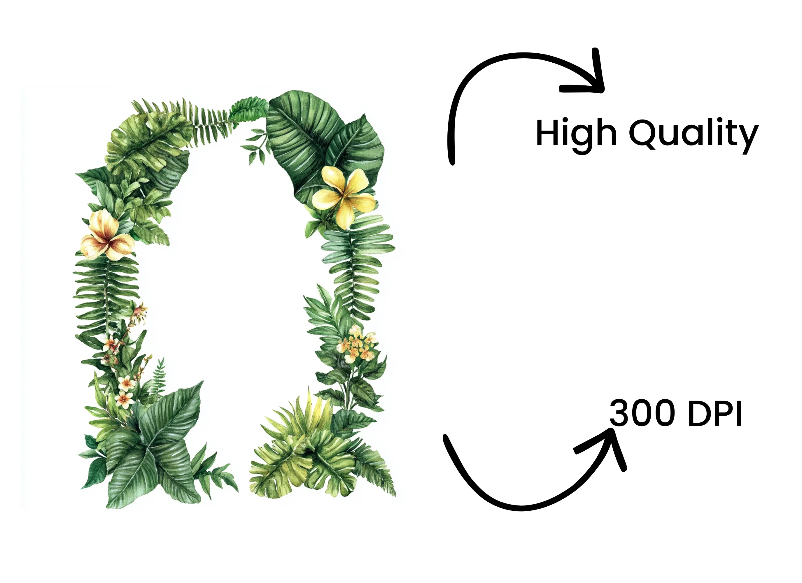 Tropical Leaves Plumeria Frame Clipart Bundle - Image 4