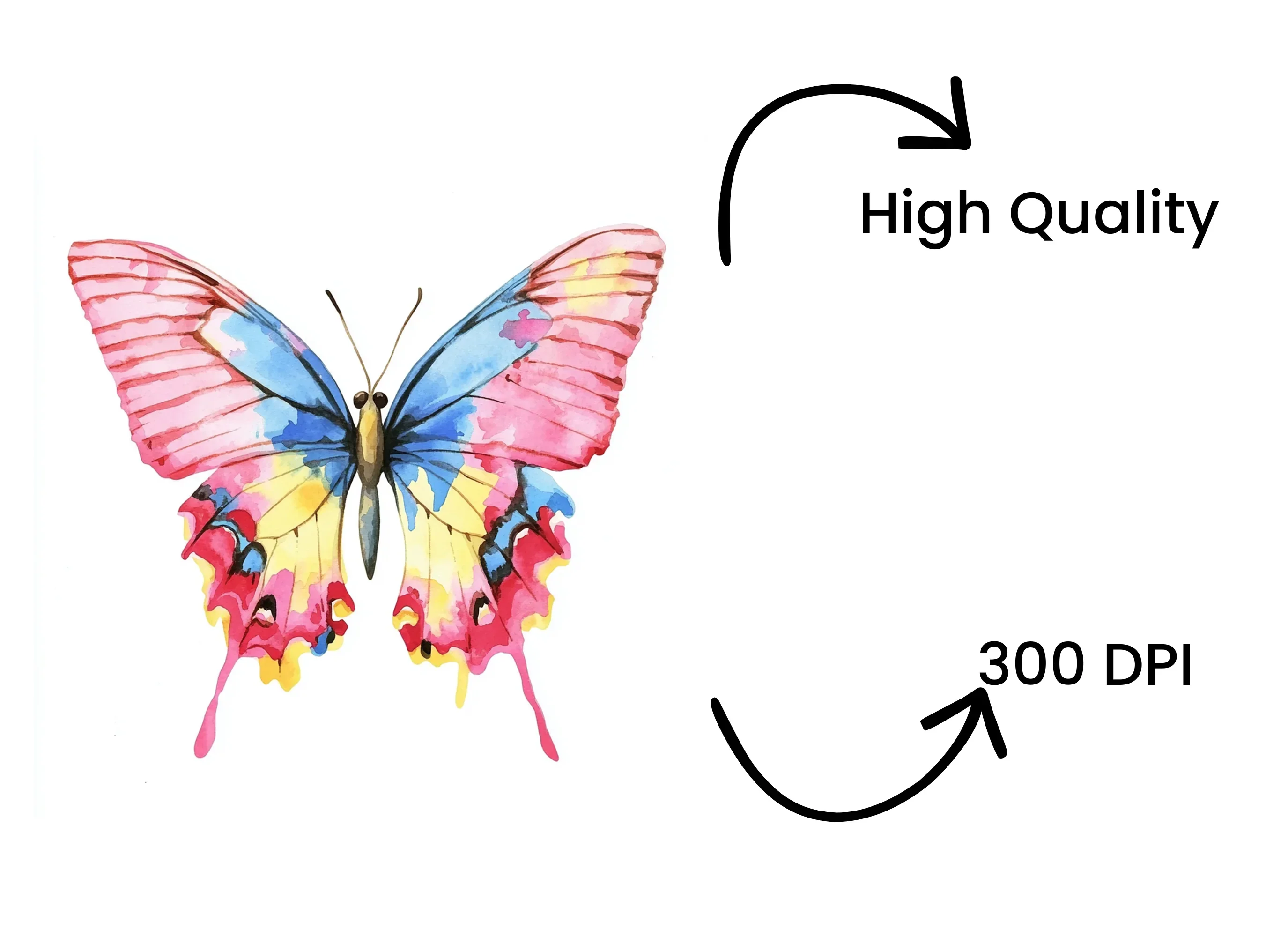 Vibrant Butterfly Clipart Bundle - Image 4