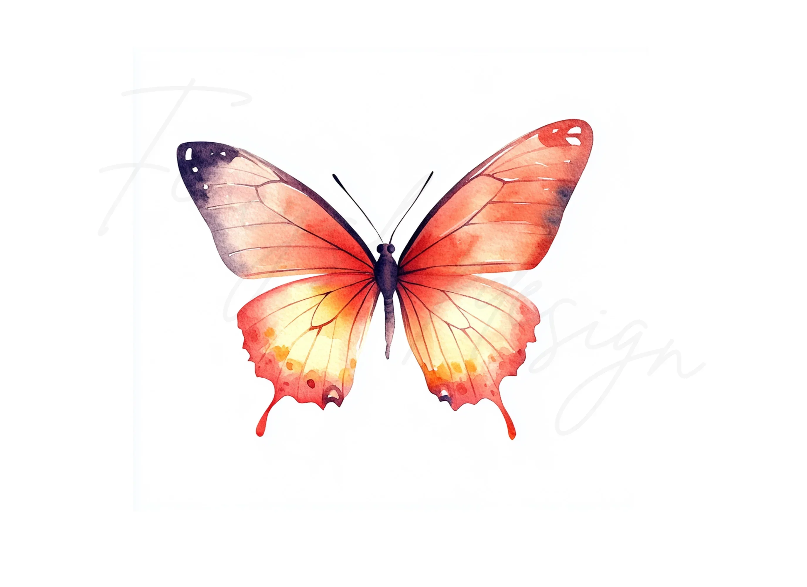 Vibrant Butterfly Clipart Bundle - Image 2
