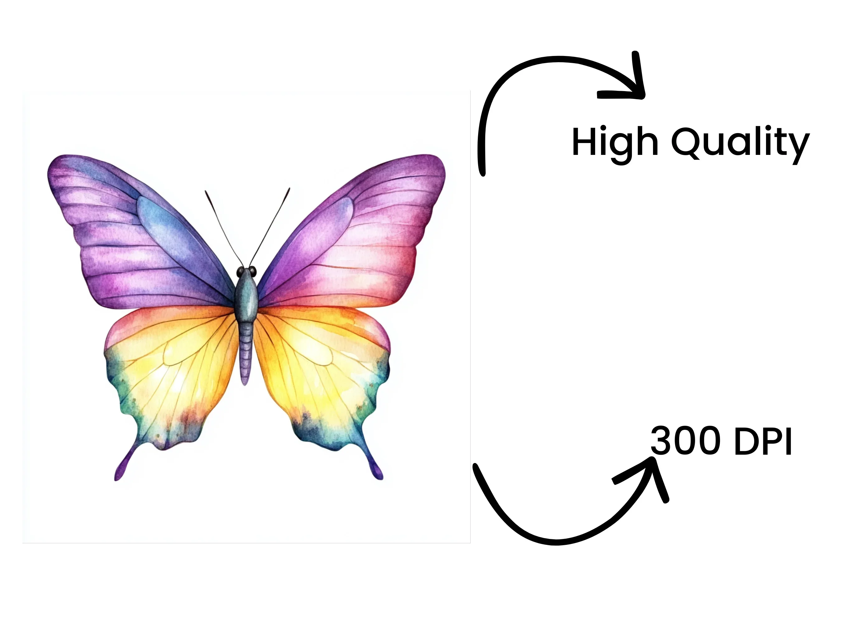 Vibrant Butterfly Clipart Bundle - Image 4