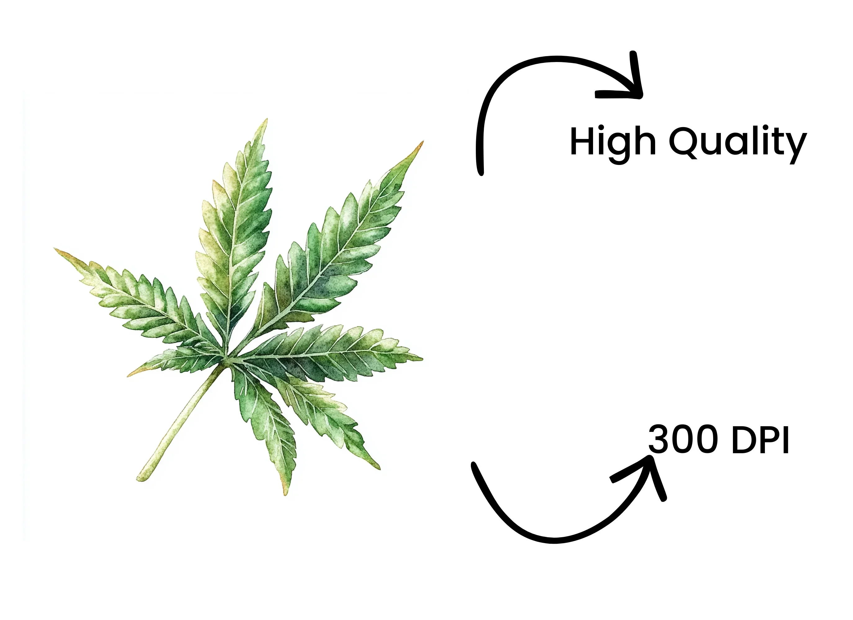 Vibrant Cannabis Leaf Clipart Bundle - Image 4