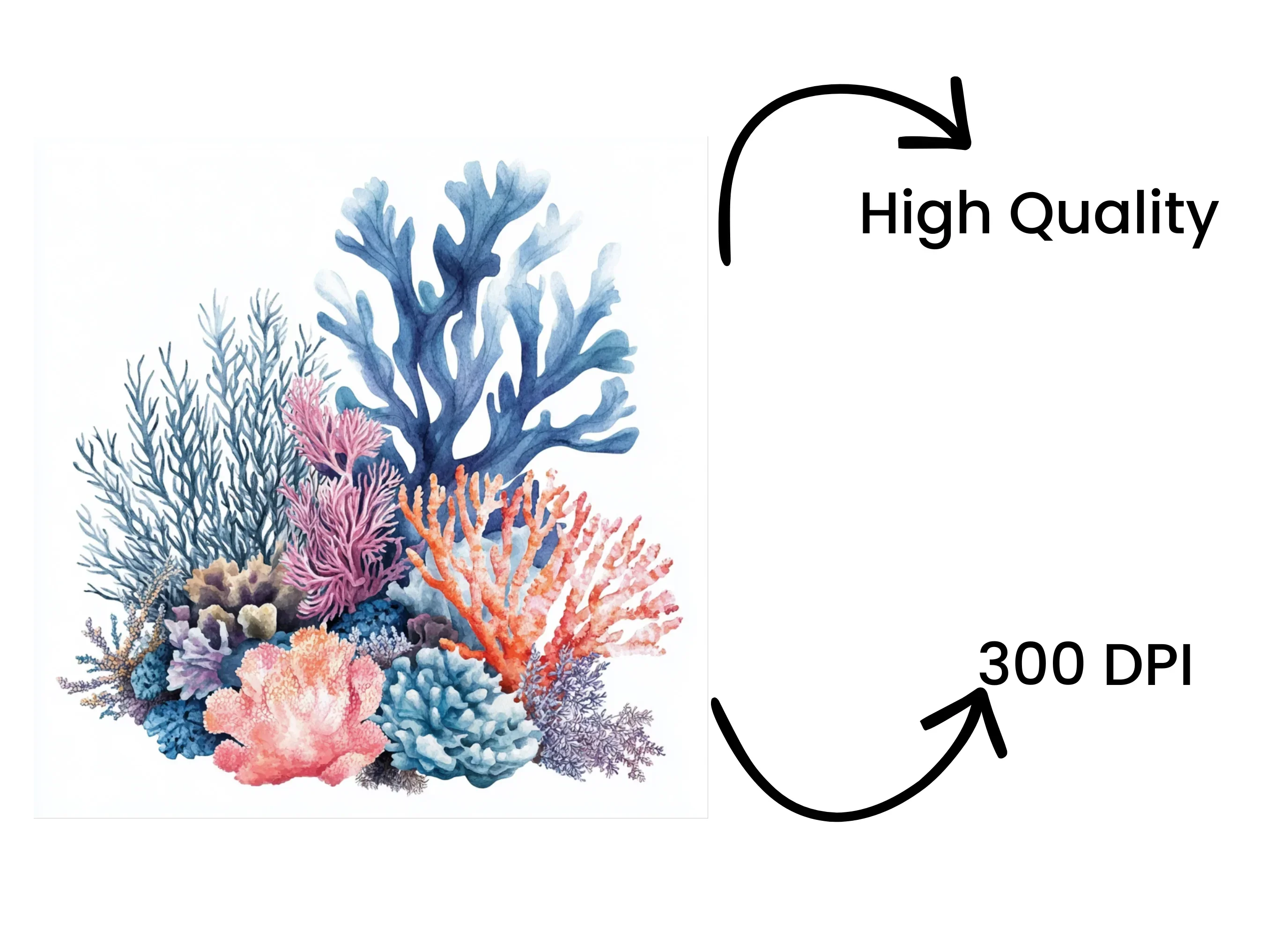 Vibrant Coral Reef Clipart Bundle - Image 4
