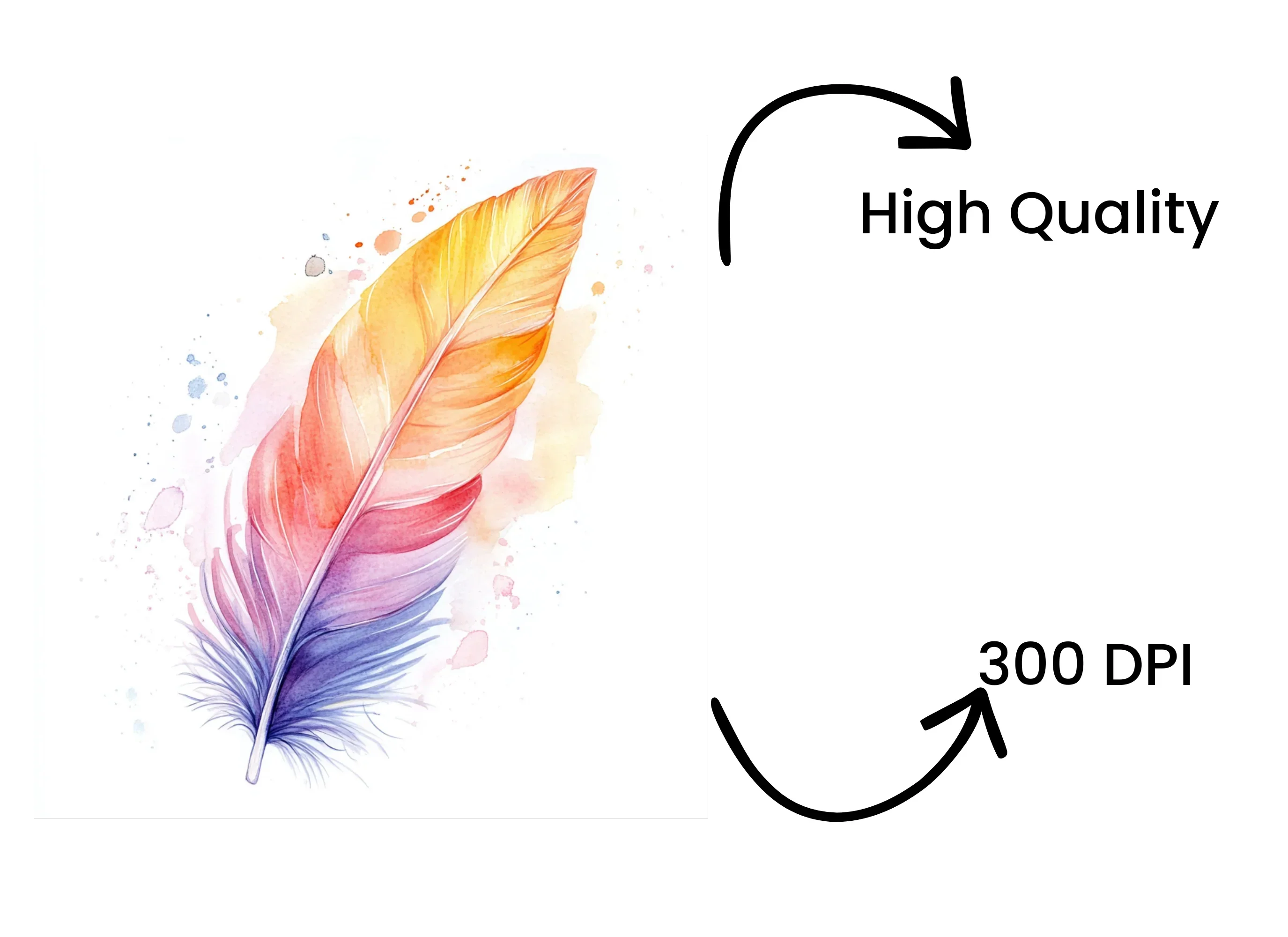 Vibrant Feather Illustrations Clipart Bundle - Image 4