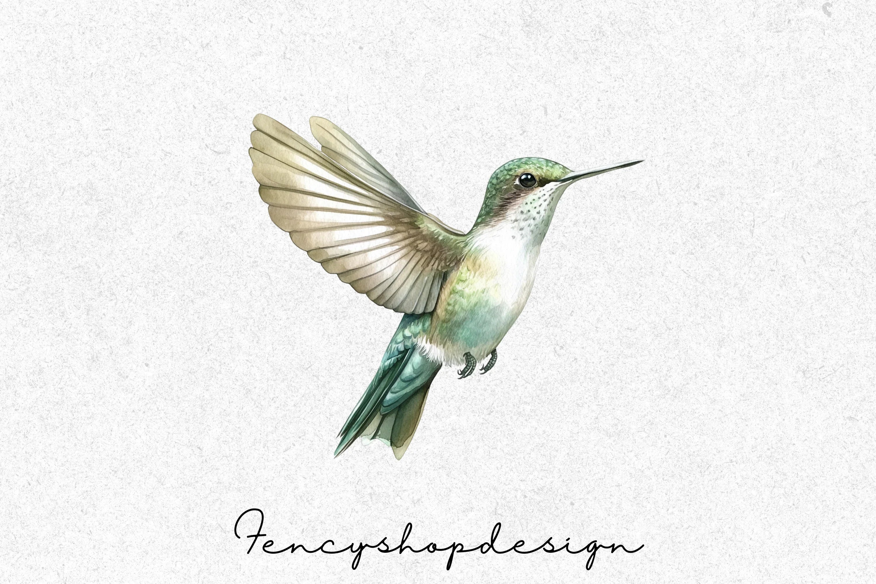 Vibrant Hummingbird Clipart Bundle - Image 3