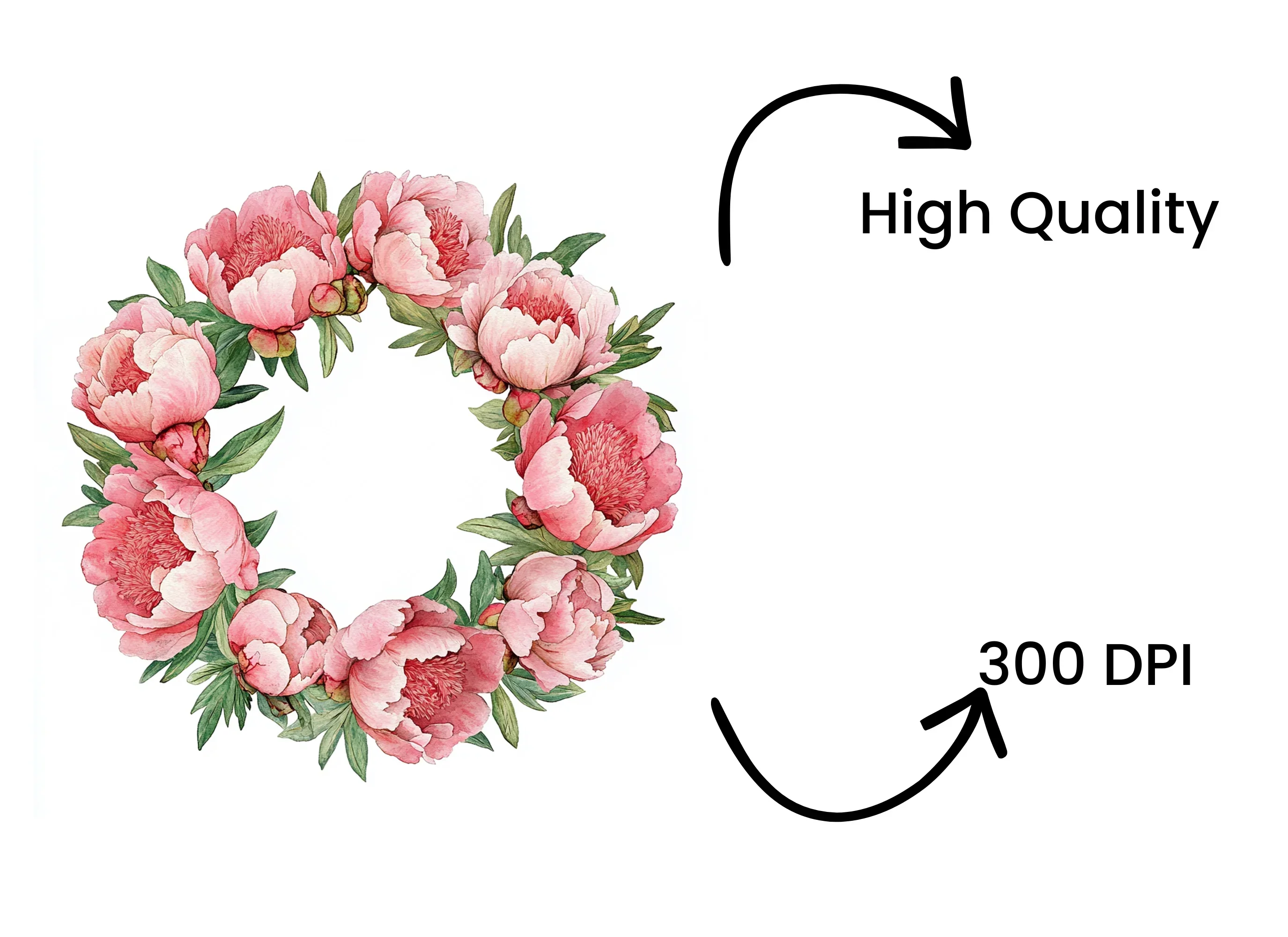 Vibrant Peony Wreath Clipart Bundle - Image 4