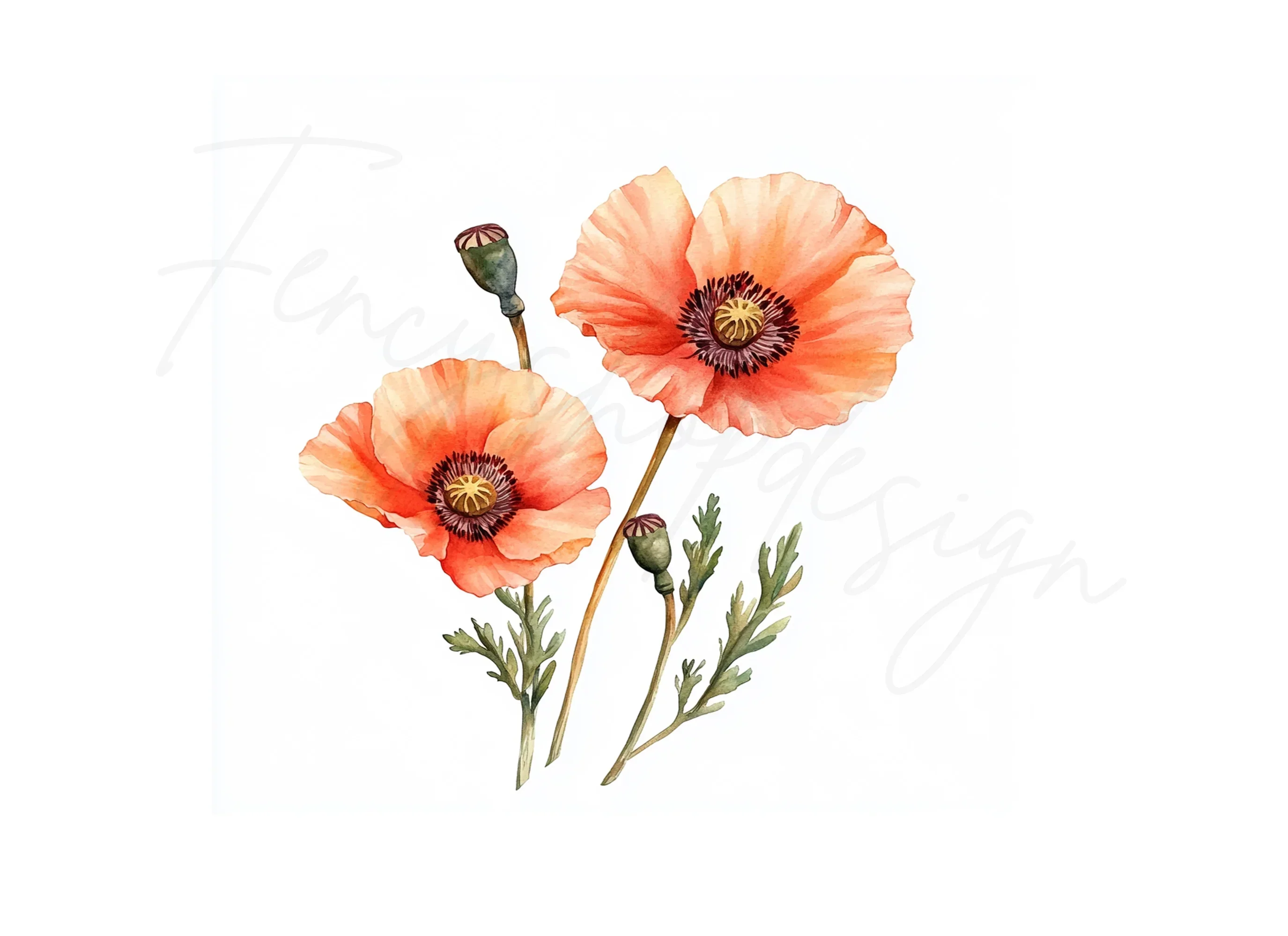Vibrant Poppy Field Clipart Bundle - Image 2